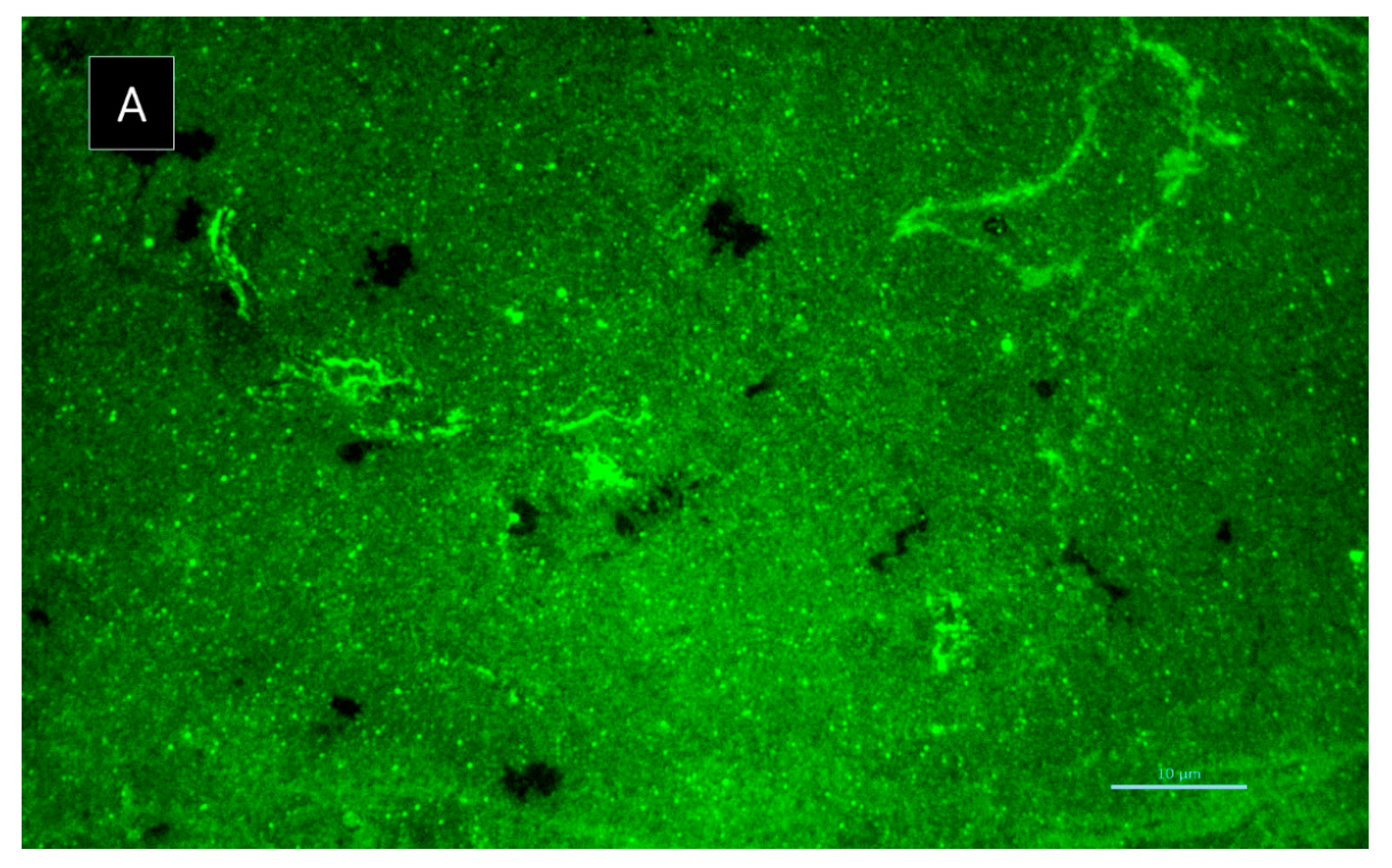 Marinedrugs 19 00457 g009a 550