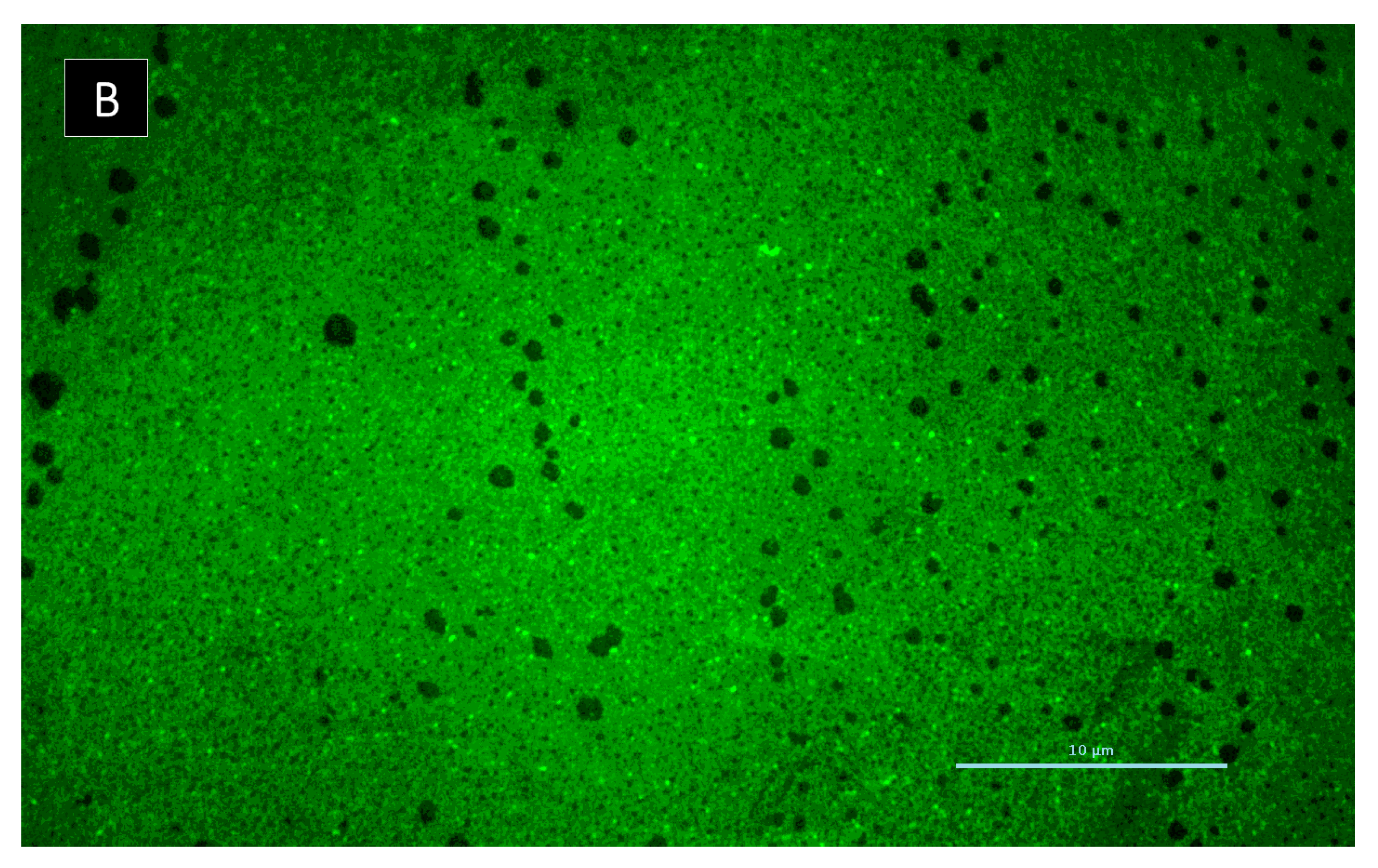 Marinedrugs 19 00457 g009b 550