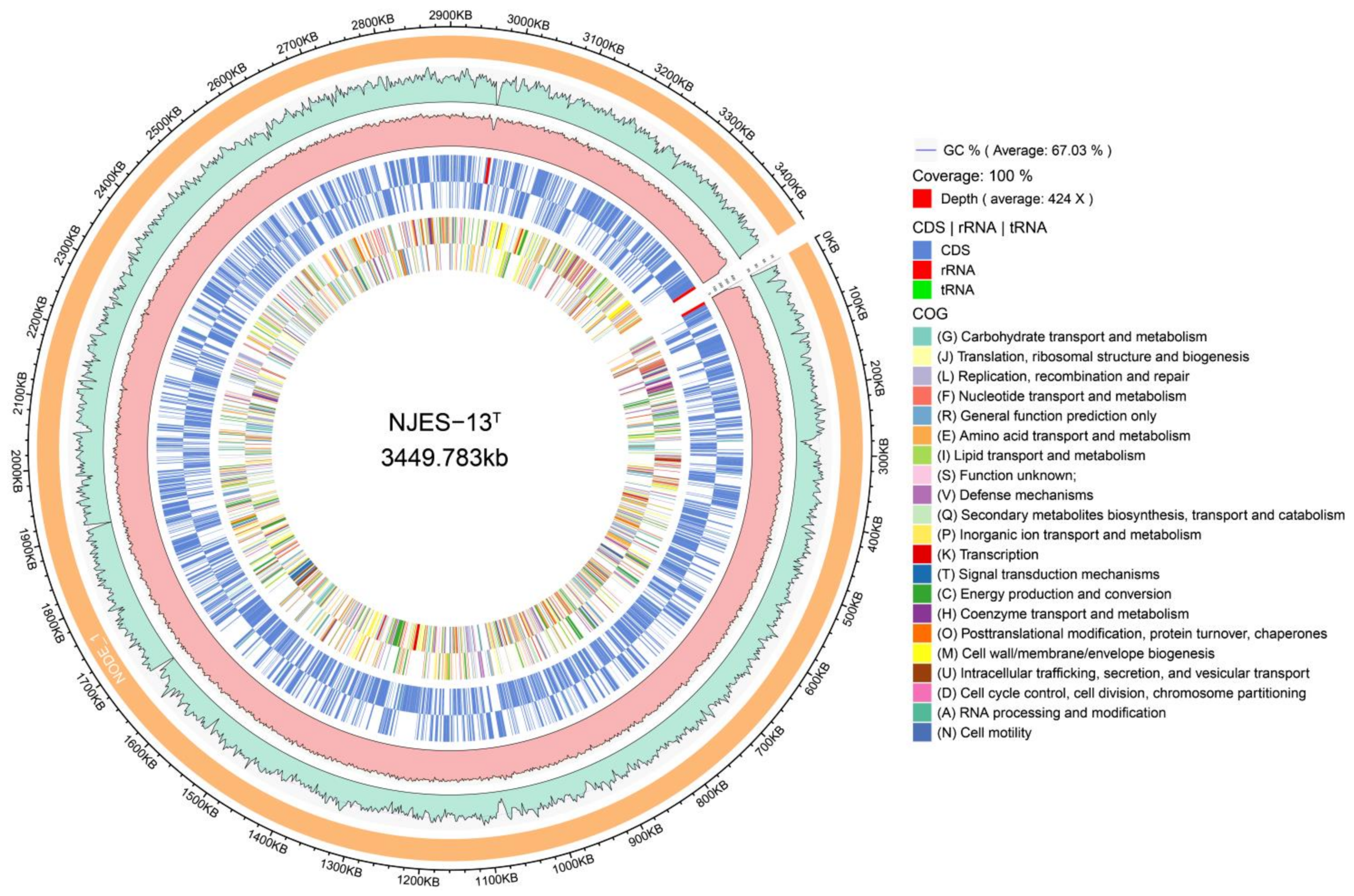 Marinedrugs 19 00458 g003 Marinedrugs 19 00458 g003
