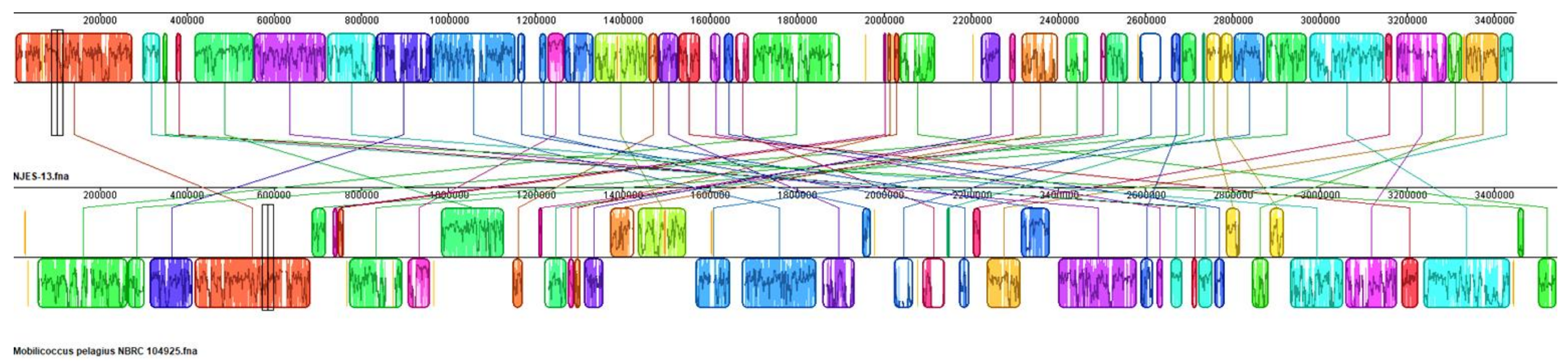 Marinedrugs 19 00458 g005 Marinedrugs 19 00458 g005