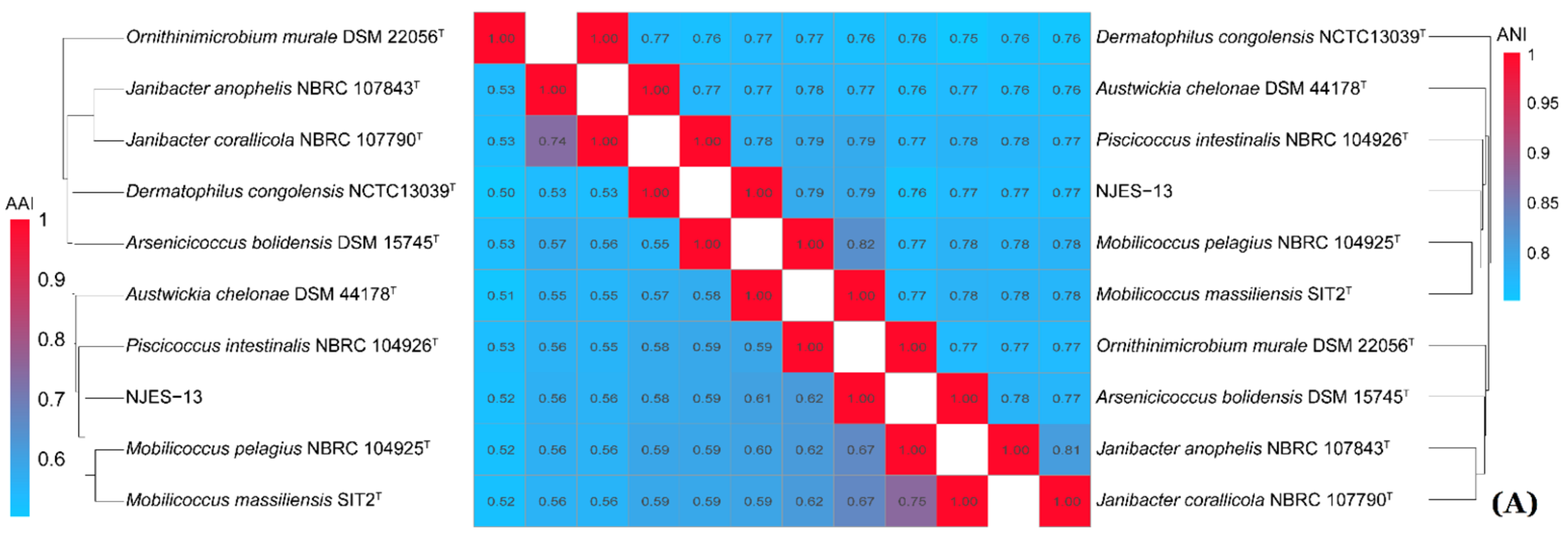 Marinedrugs 19 00458 g006a Marinedrugs 19 00458 g006a