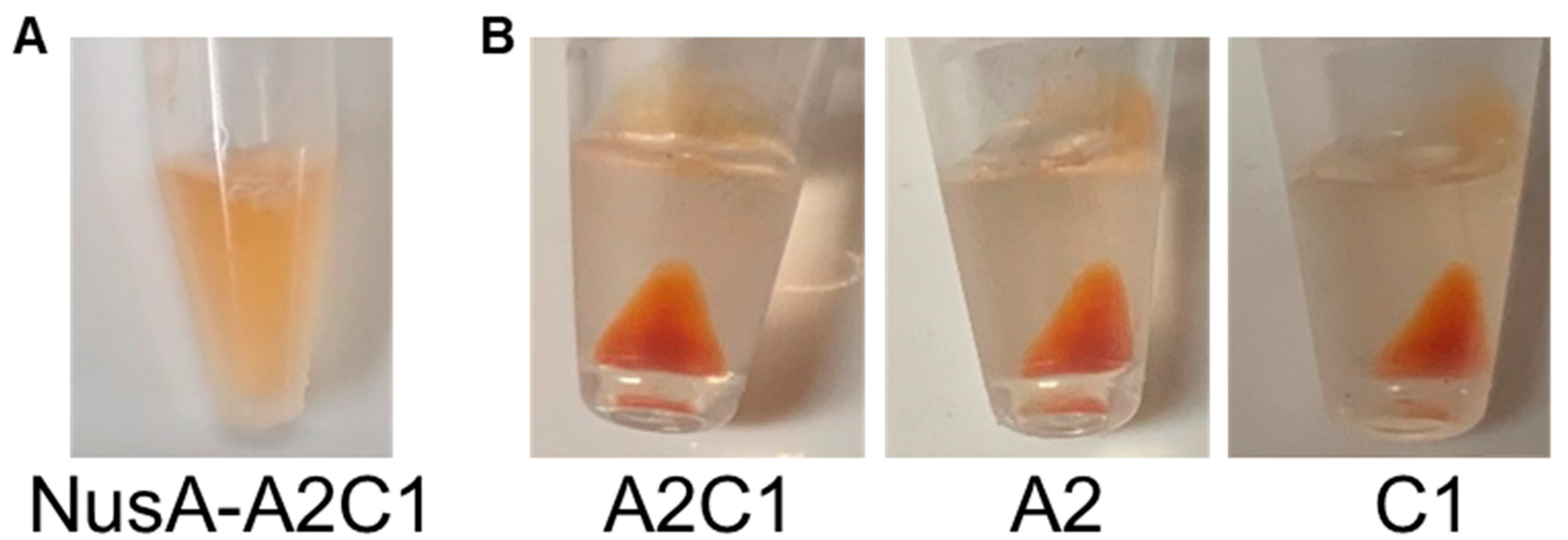 Marinedrugs 19 00462 g002