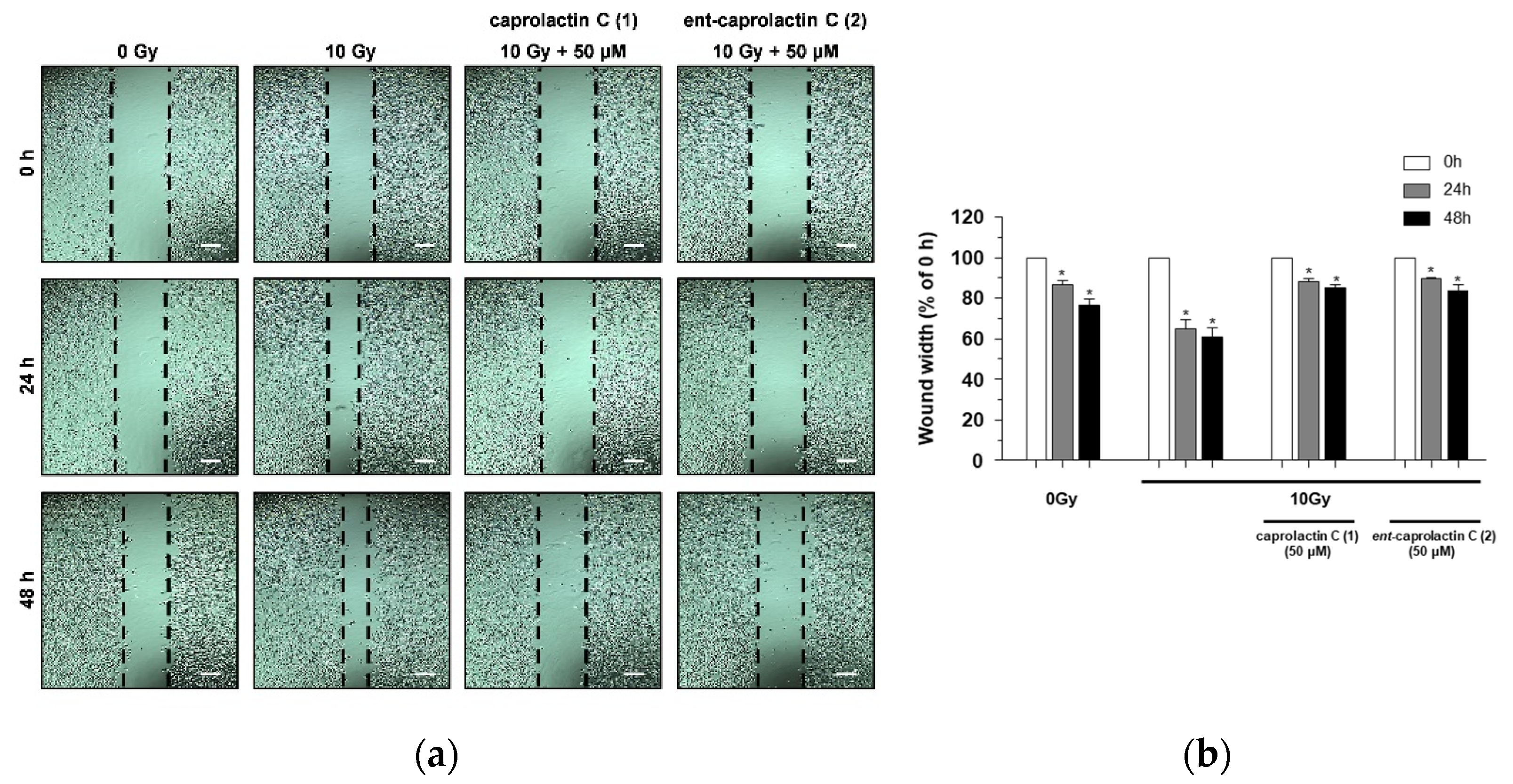 Marinedrugs 19 00465 g004