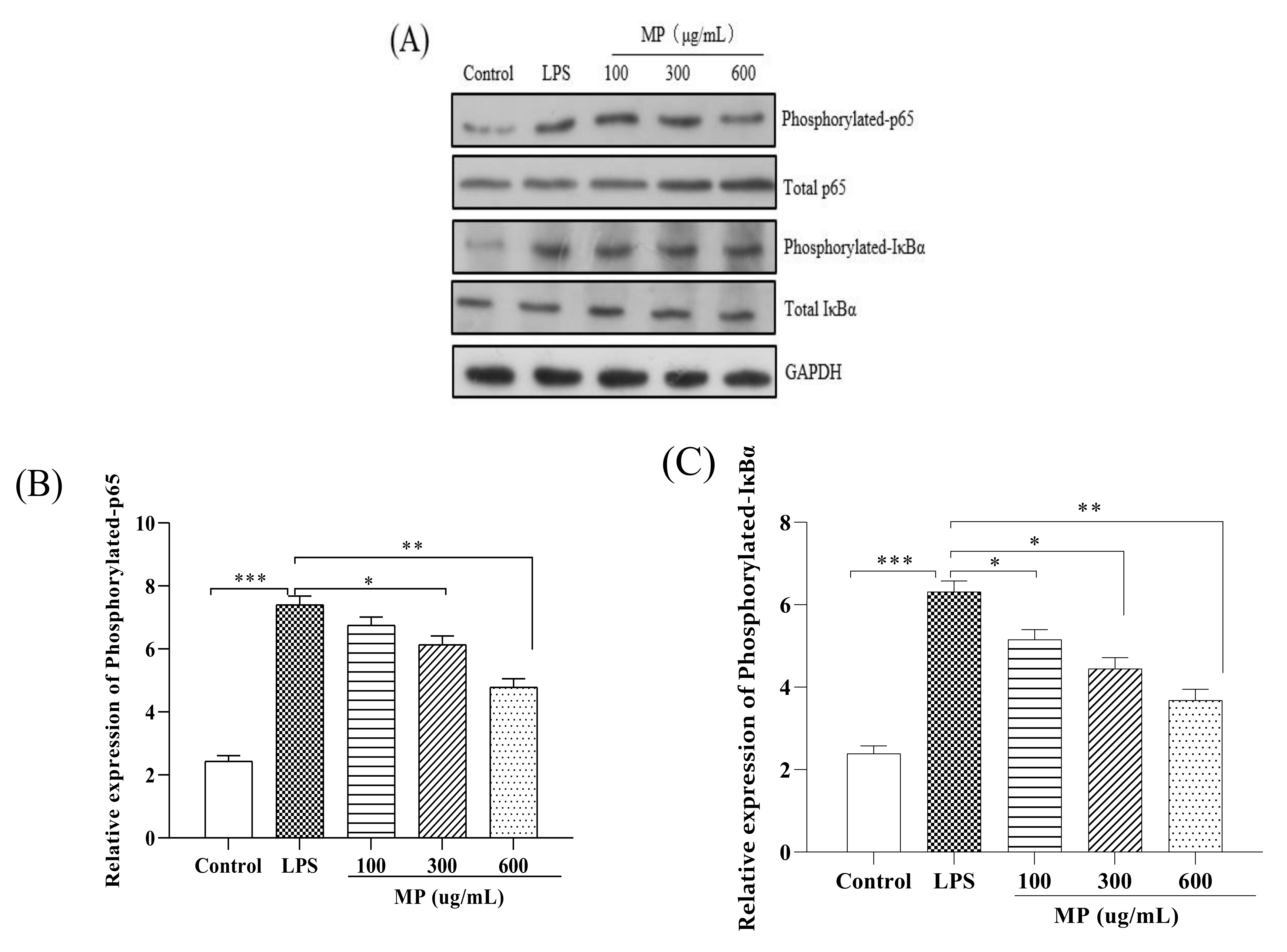 Marinedrugs 19 00468 g003a 550