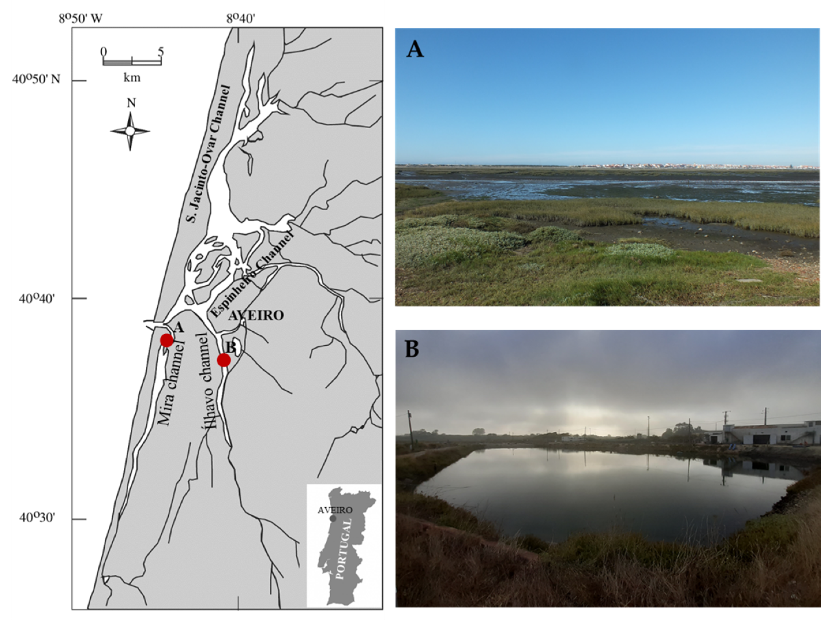 Marinedrugs 19 00469 g003