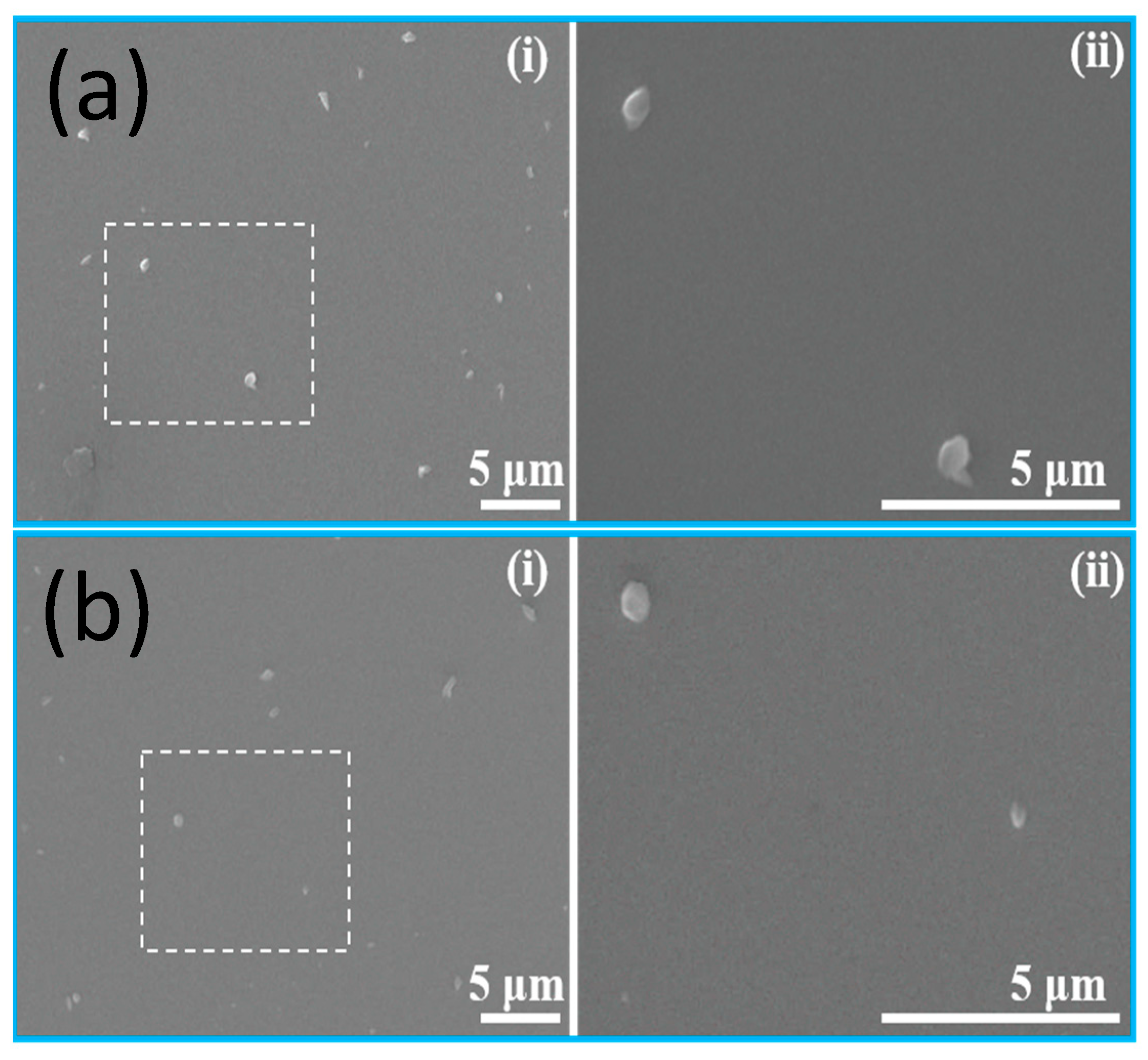 Marinedrugs 19 00470 g002