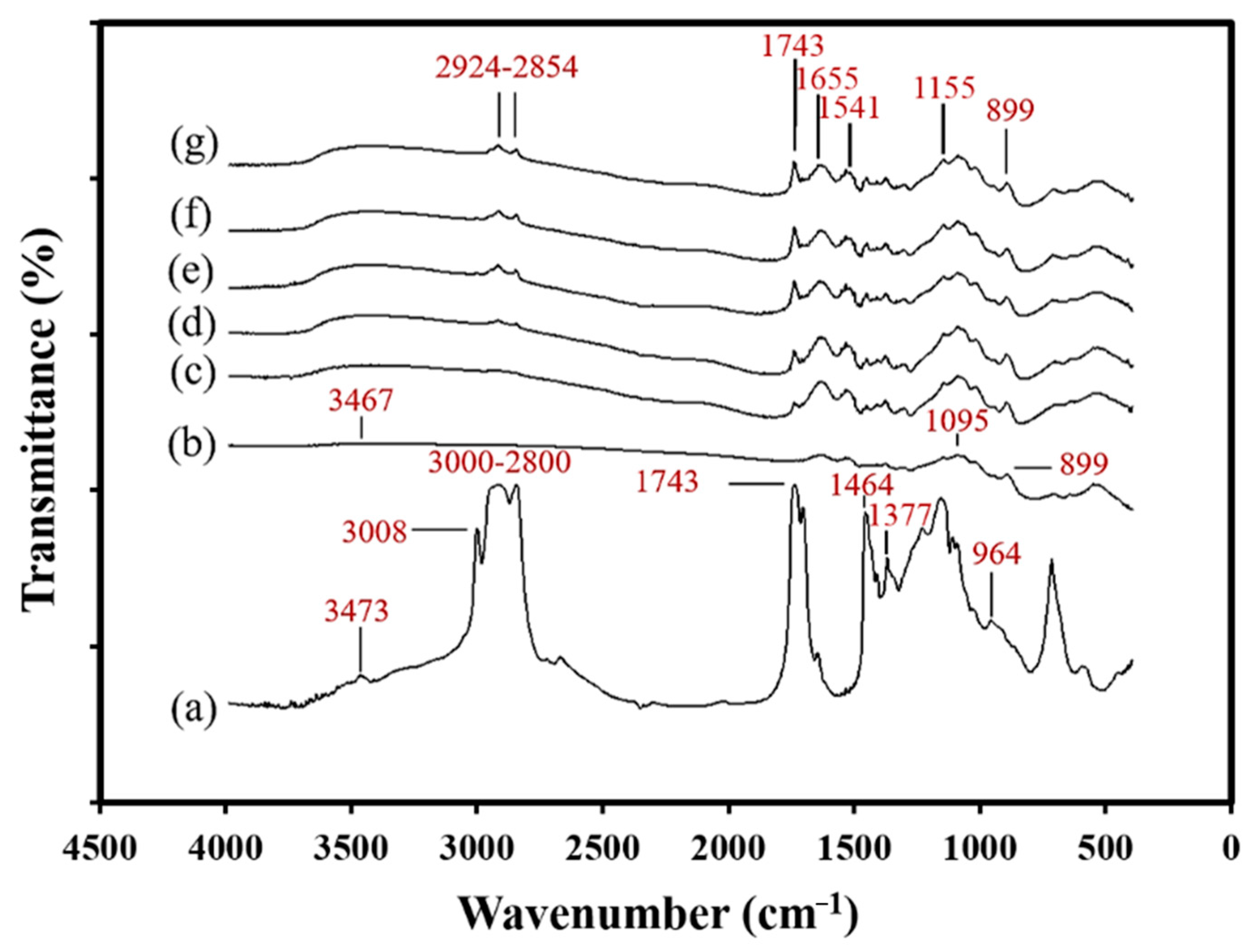 Marinedrugs 19 00470 g006