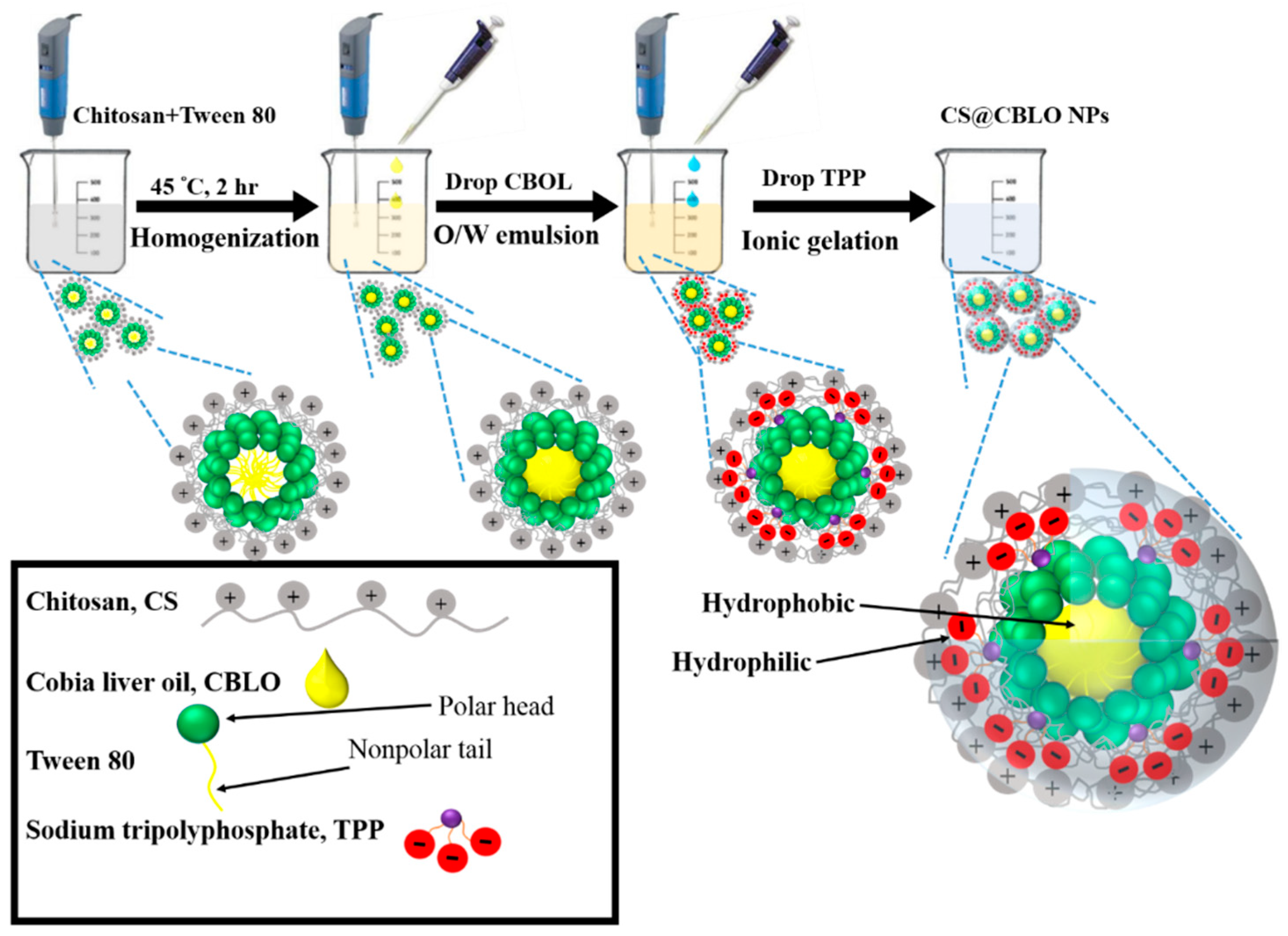 Marinedrugs 19 00470 sch001