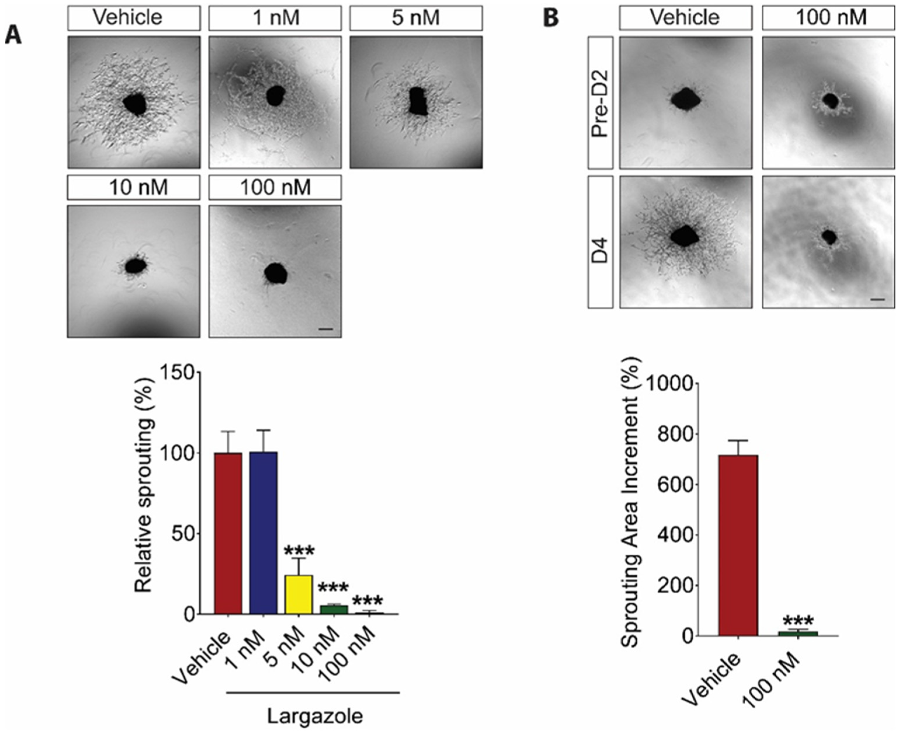 Marinedrugs 19 00471 g002 550