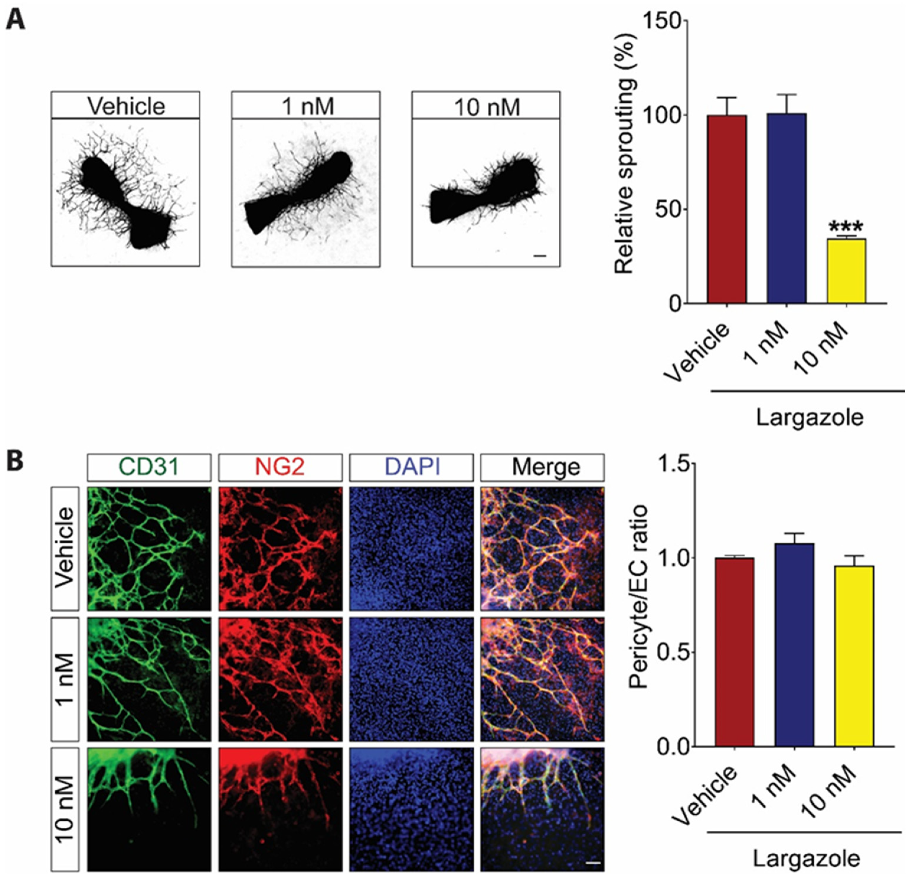 Marinedrugs 19 00471 g003 550