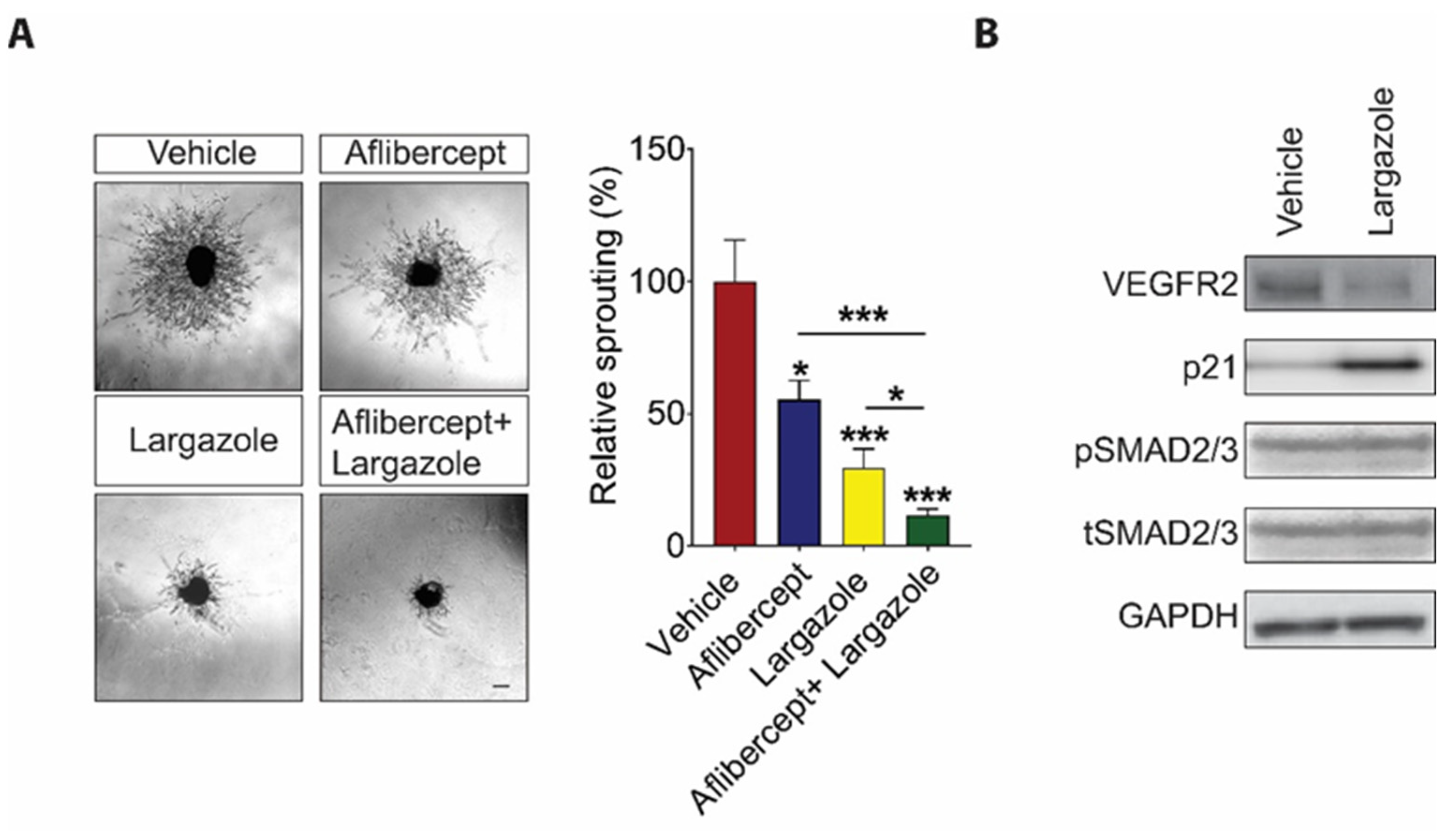 Marinedrugs 19 00471 g004 550