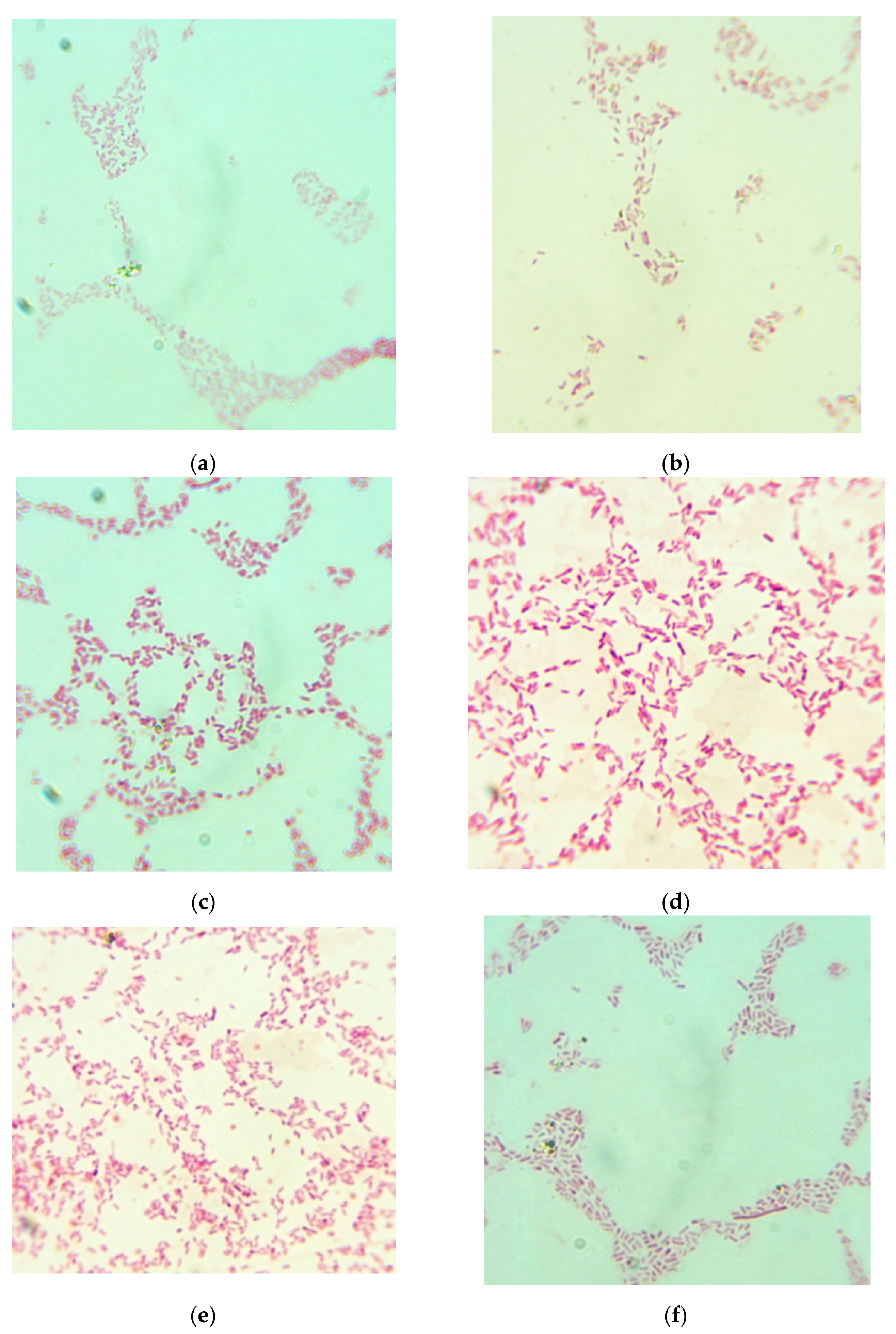 Marinedrugs 19 00472 g007a