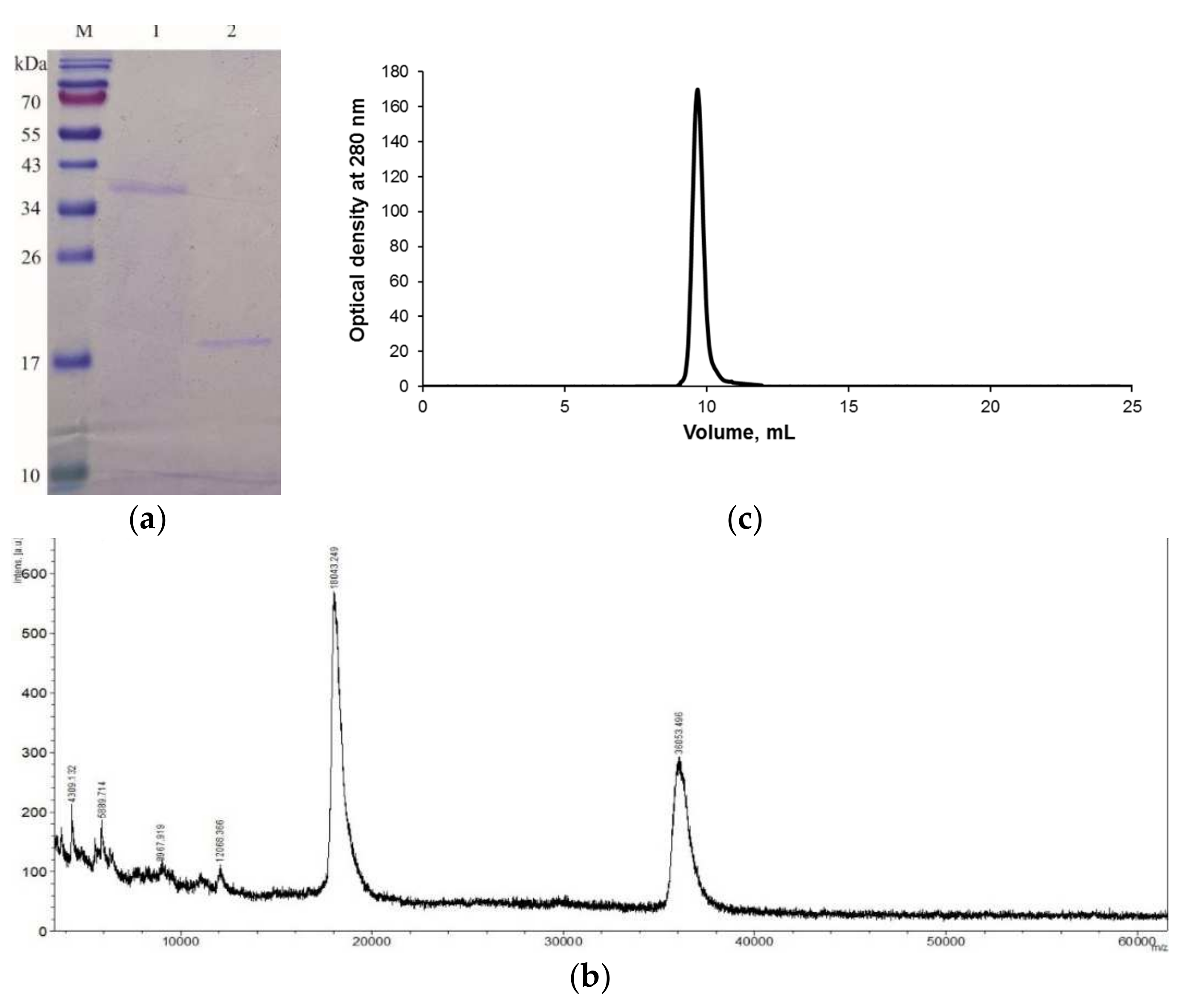 Marinedrugs 19 00474 g002 Marinedrugs 19 00474 g002