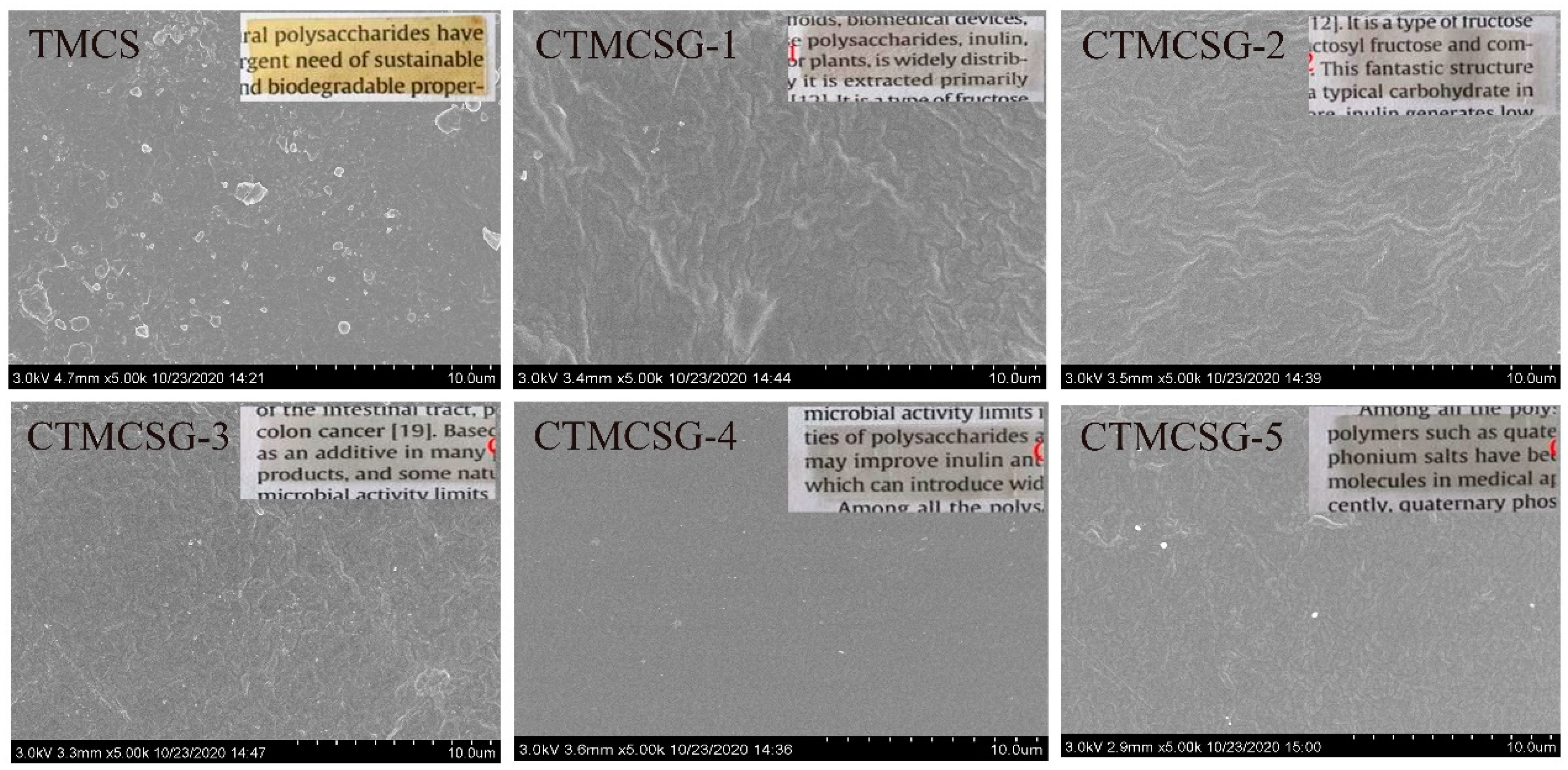 Marinedrugs 19 00479 g003 550