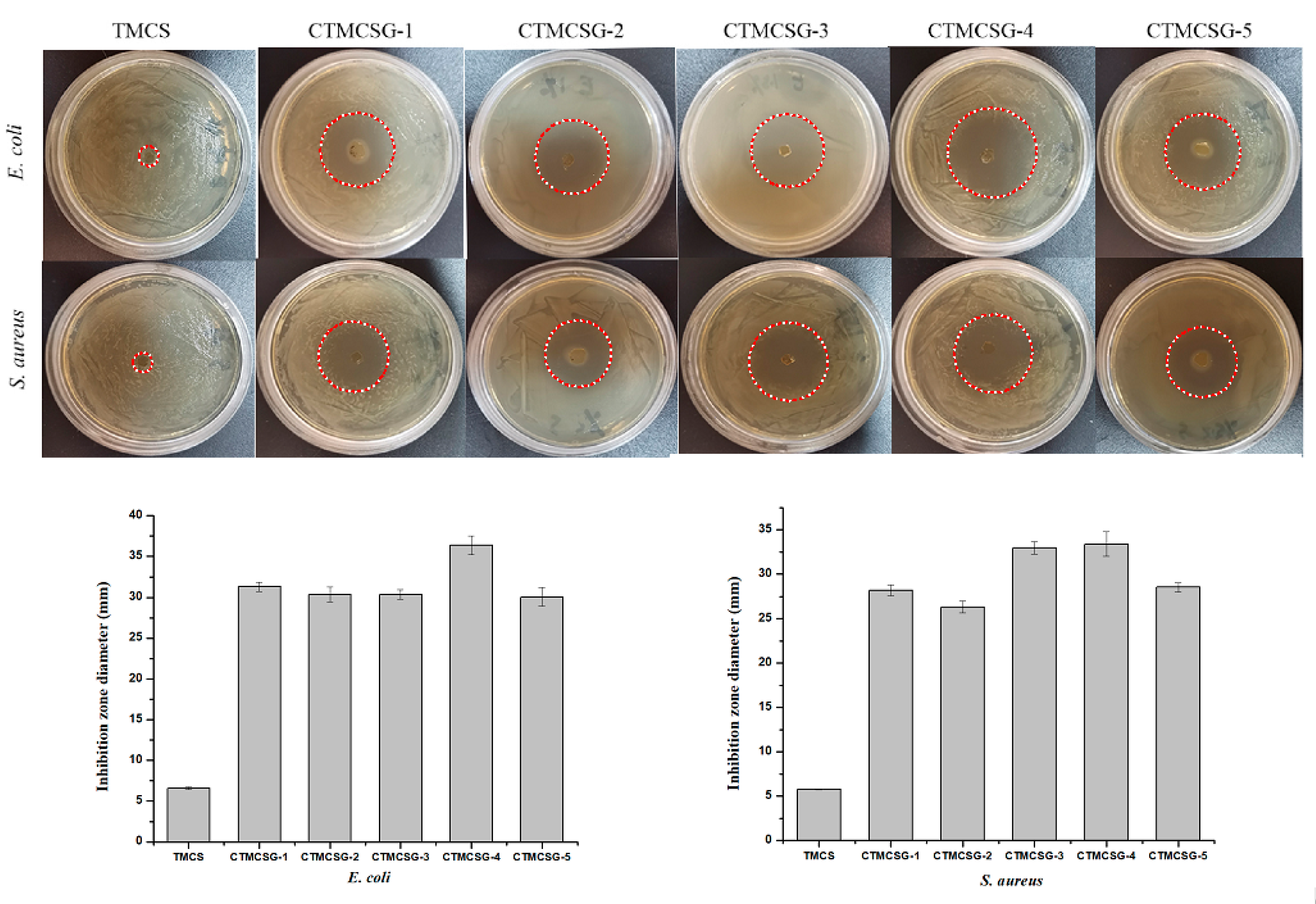 Marinedrugs 19 00479 g005 550
