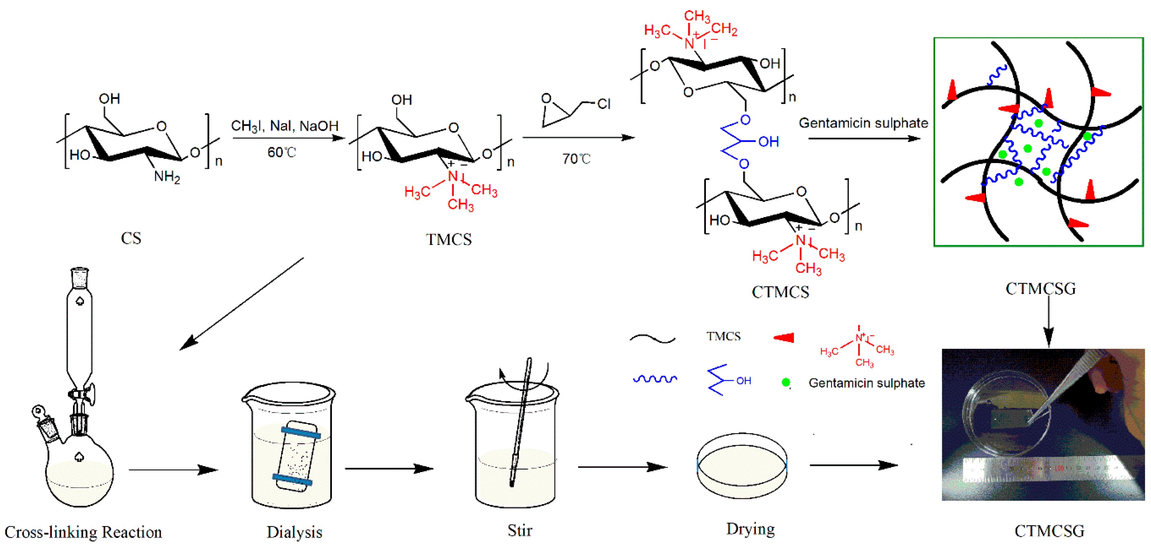 Marinedrugs 19 00479 sch001 550