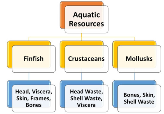 Exploiting of Secondary Raw Materials from Fish Processing 