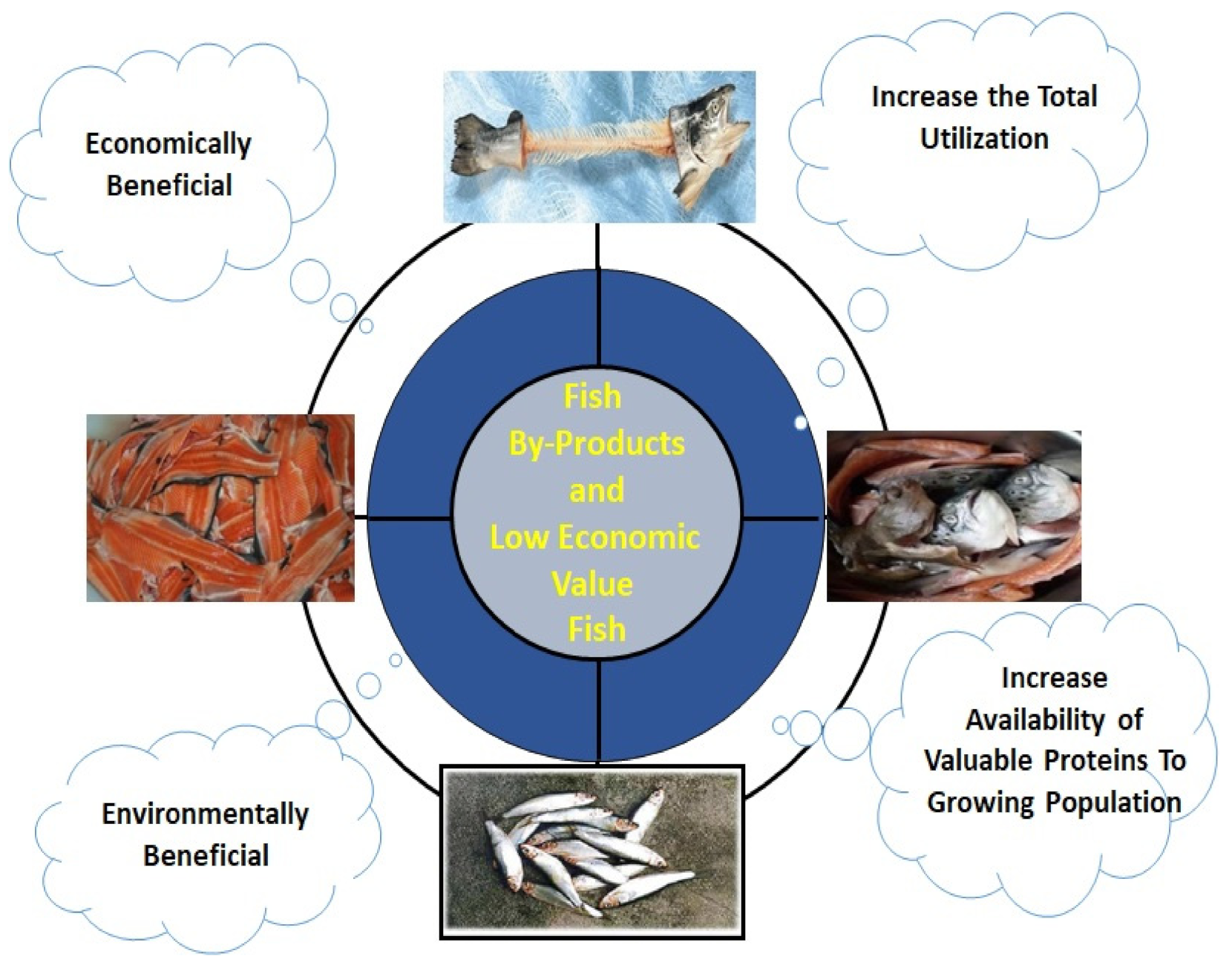 Marinedrugs 19 00480 g002 Marinedrugs 19 00480 g002