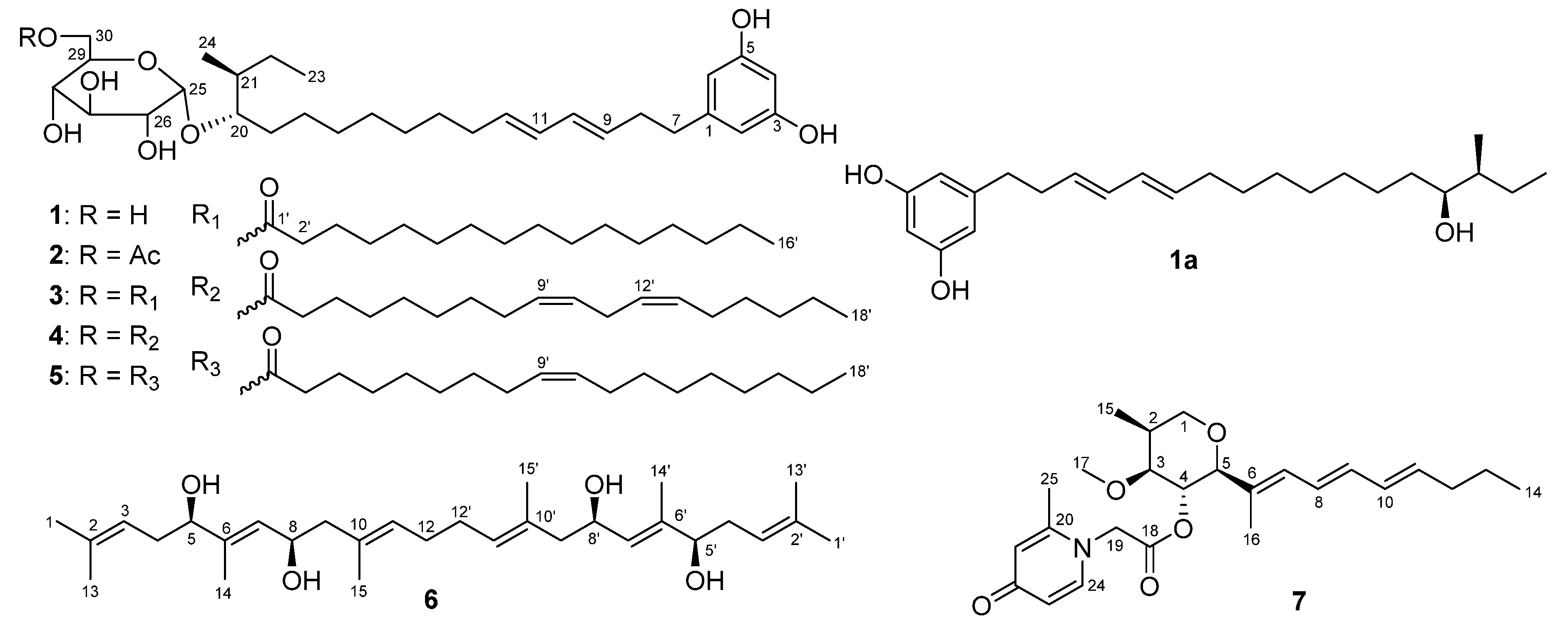 Marinedrugs 19 00483 g001 550