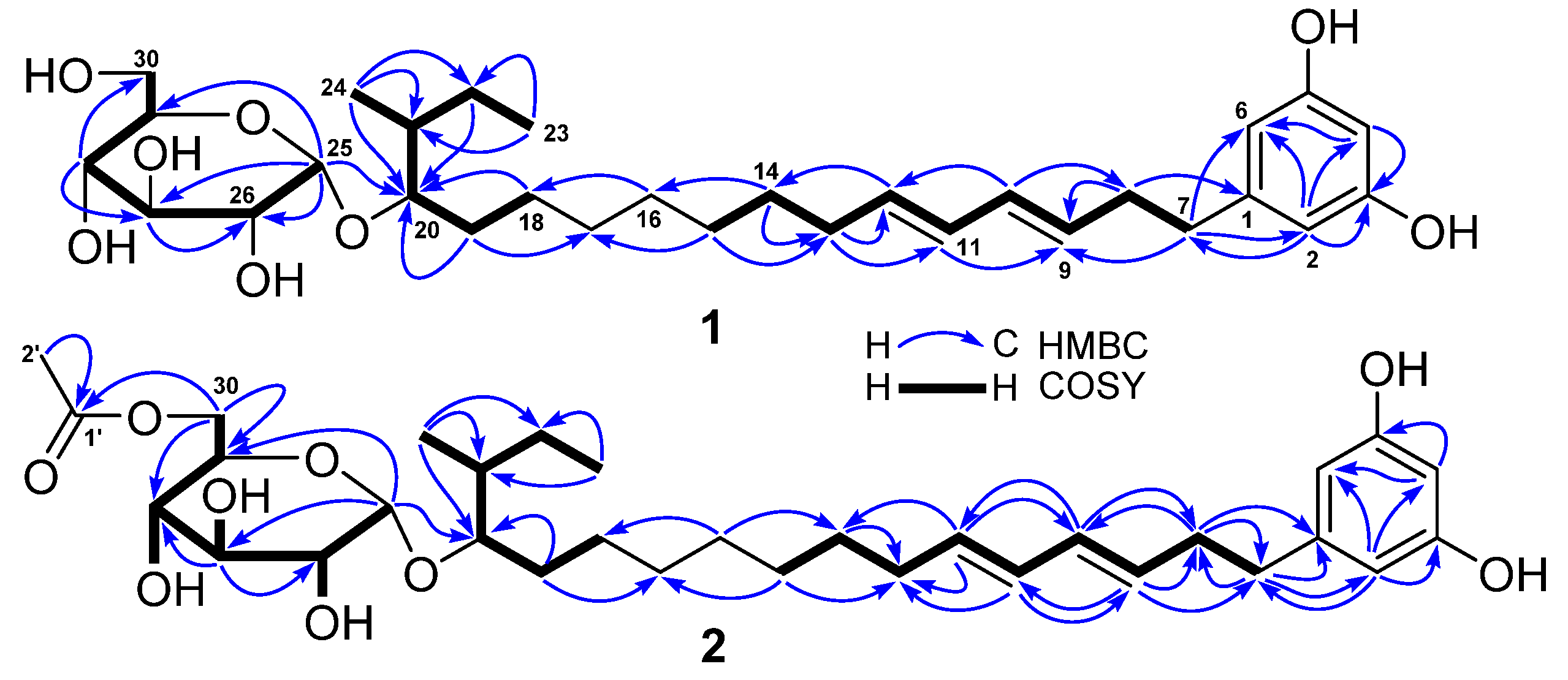 Marinedrugs 19 00483 g002 550