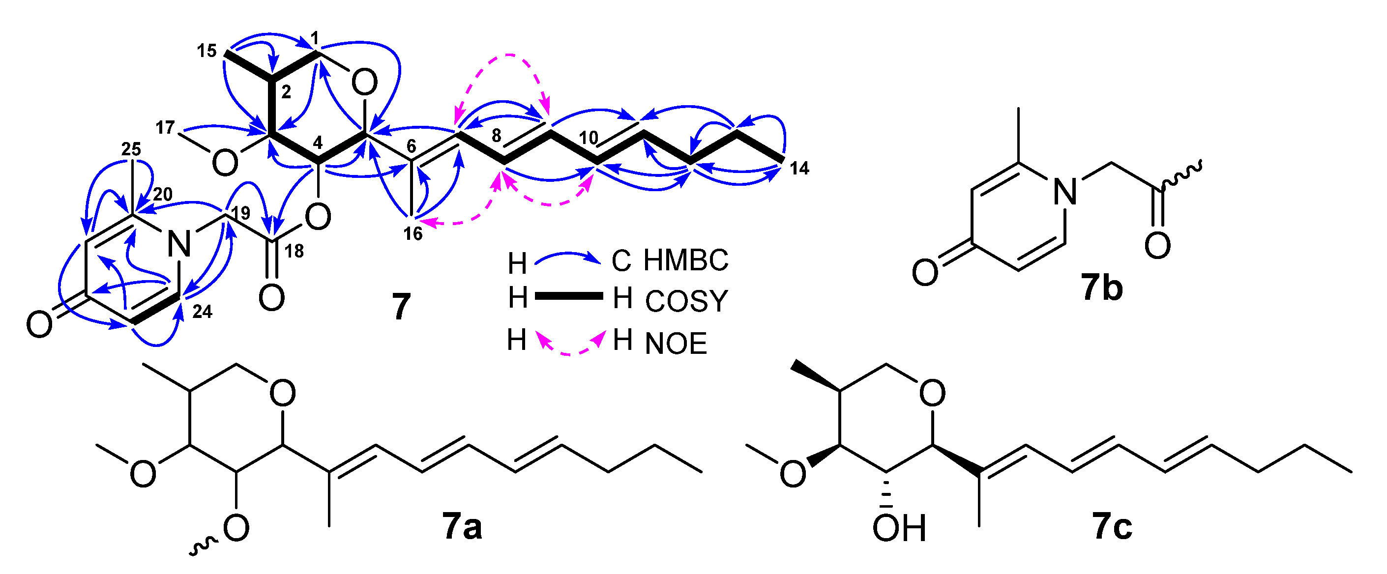 Marinedrugs 19 00483 g007 550