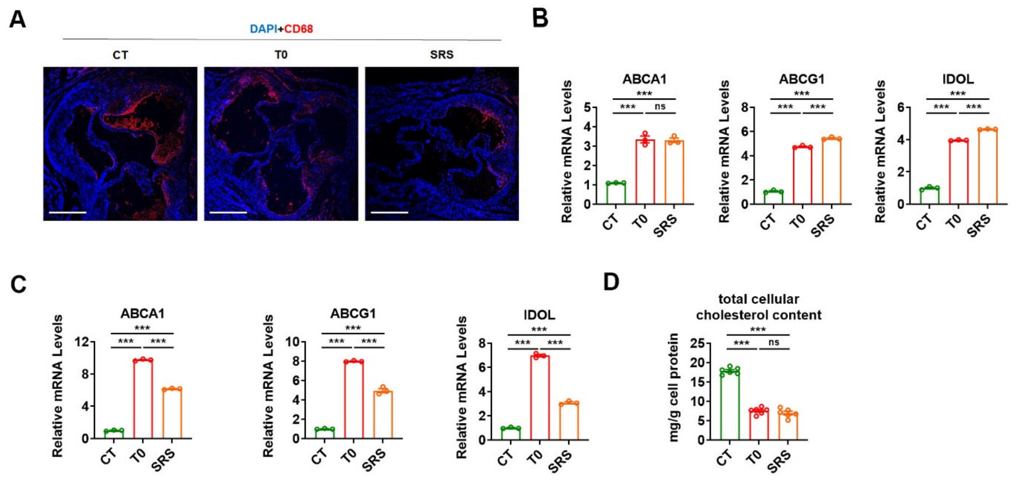 Marinedrugs 19 00485 g003