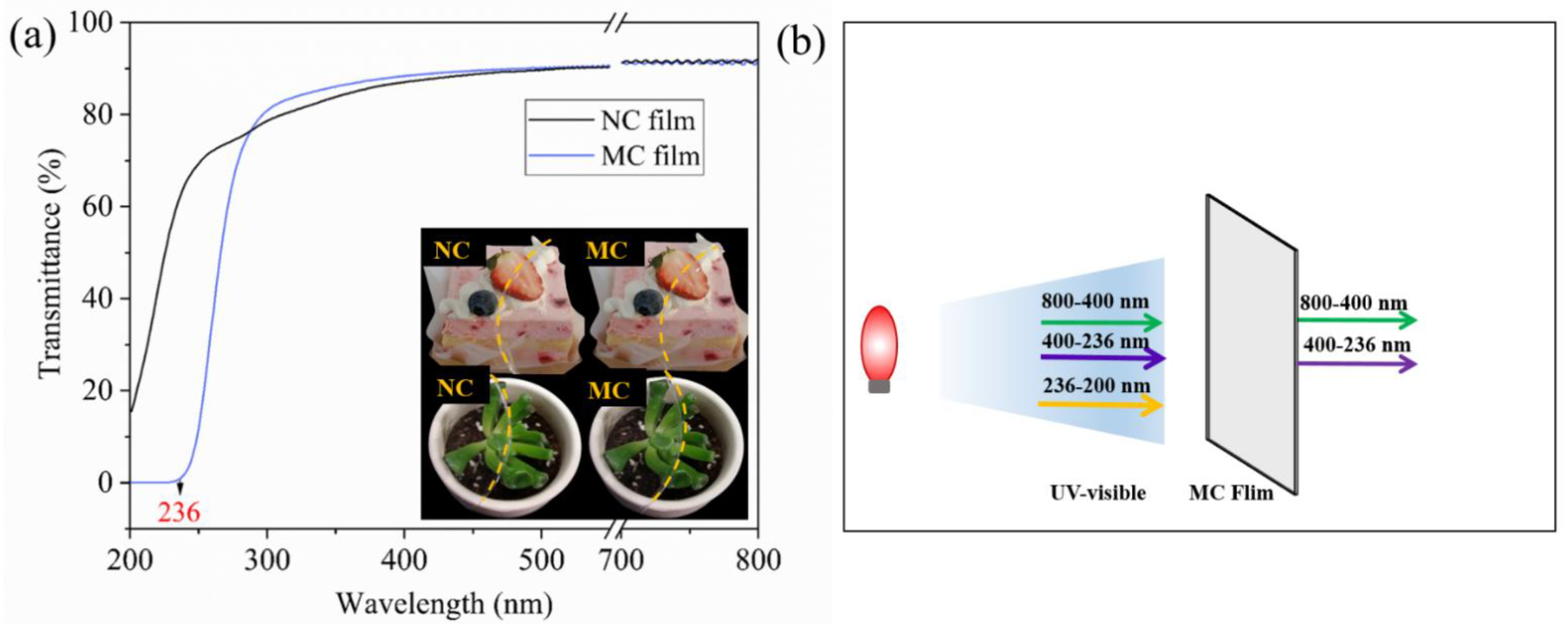 Marinedrugs 19 00486 g004