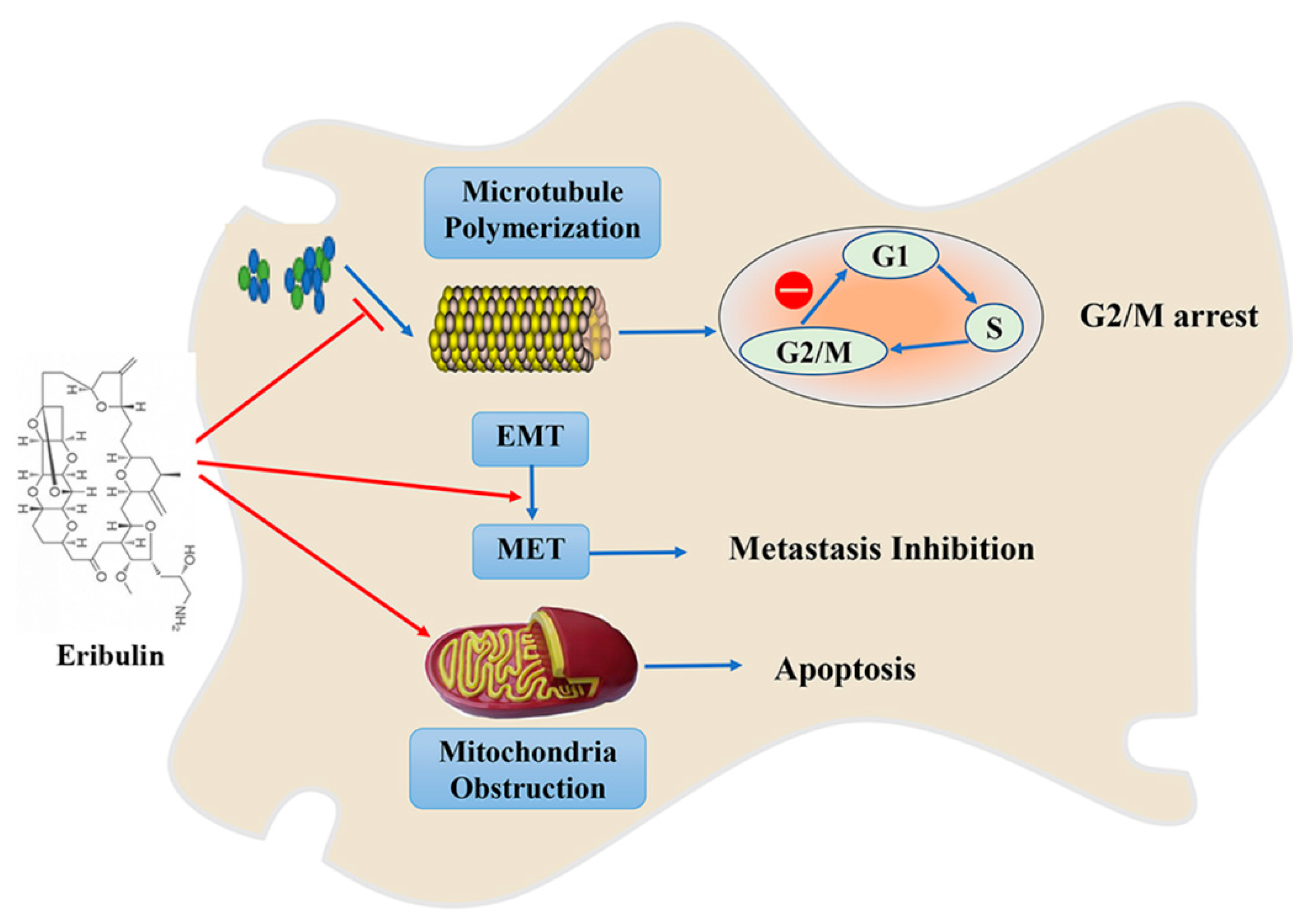Marinedrugs 19 00488 g002