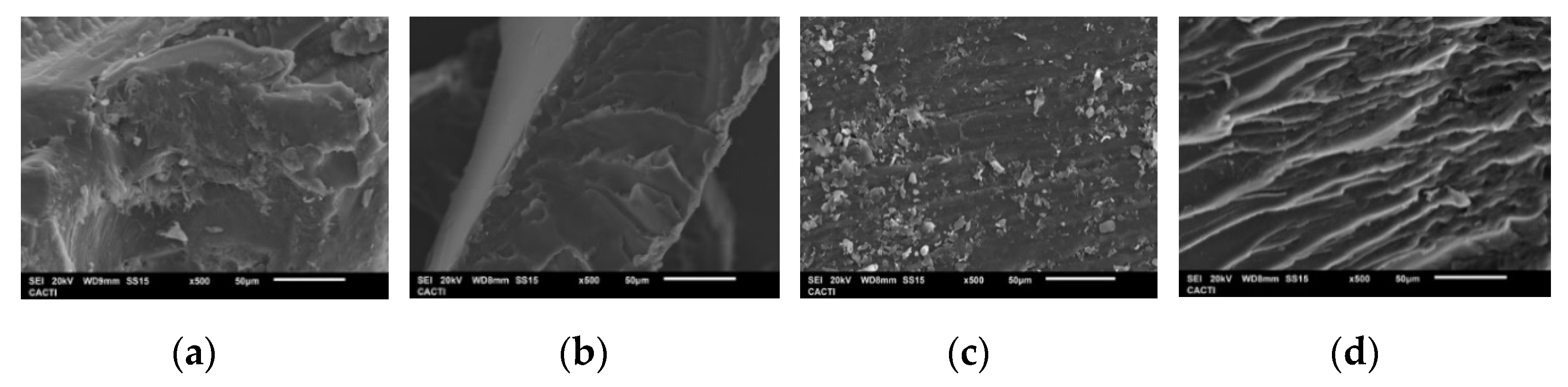 Marinedrugs 19 00491 g006 550