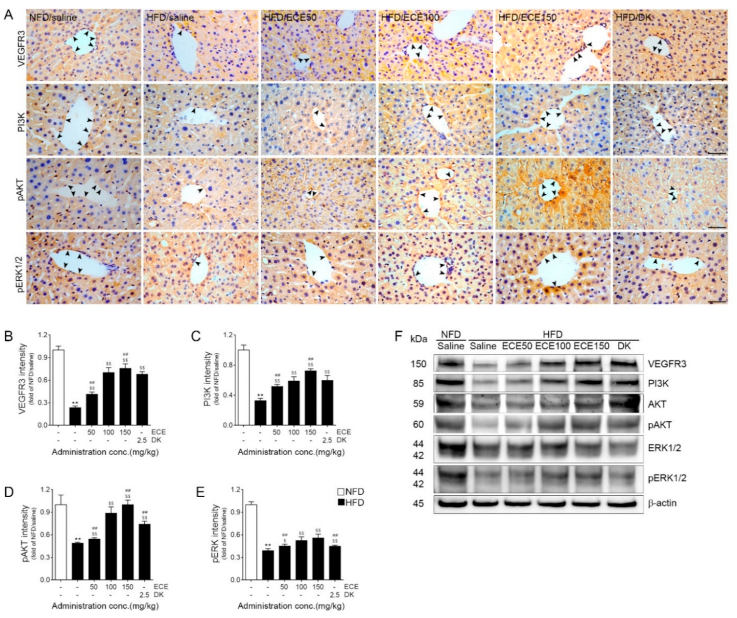 Marinedrugs 19 00495 g003 550