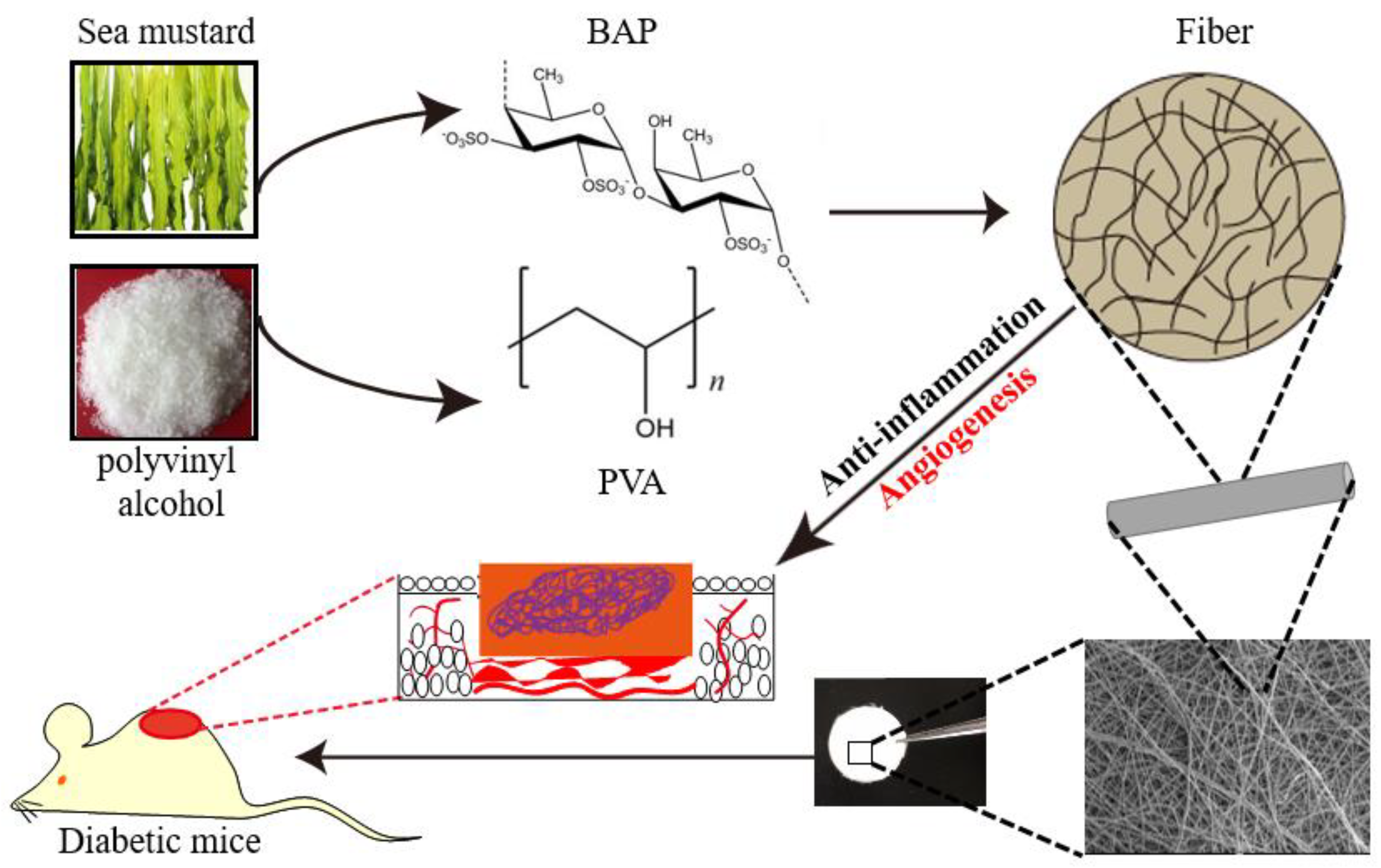 Marinedrugs 19 00496 g001