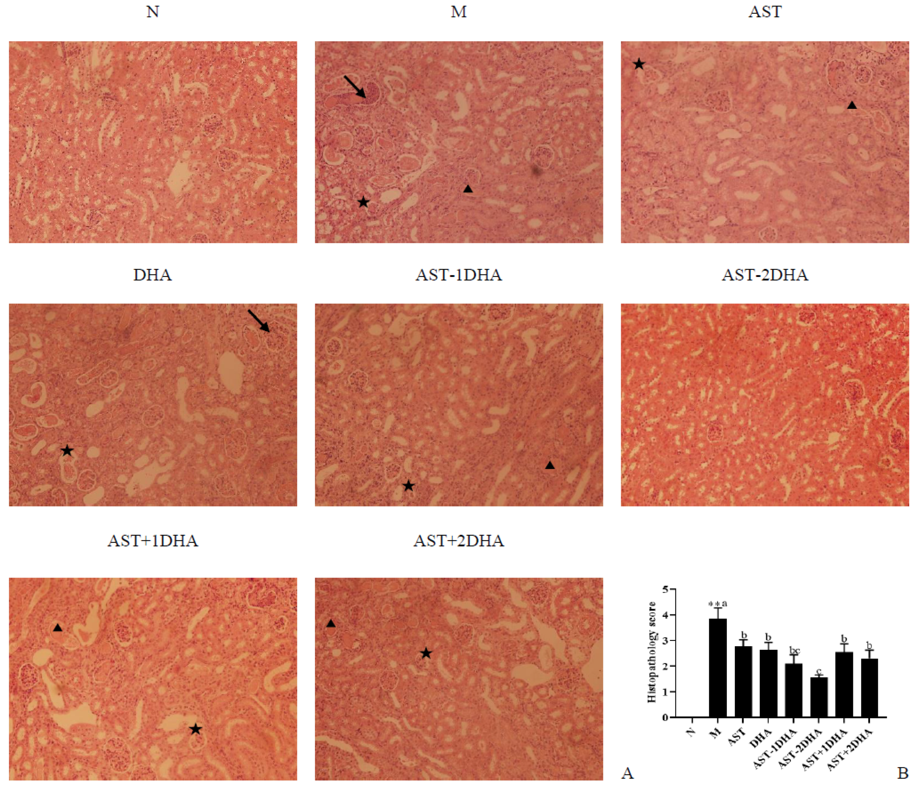 Marinedrugs 19 00499 g004