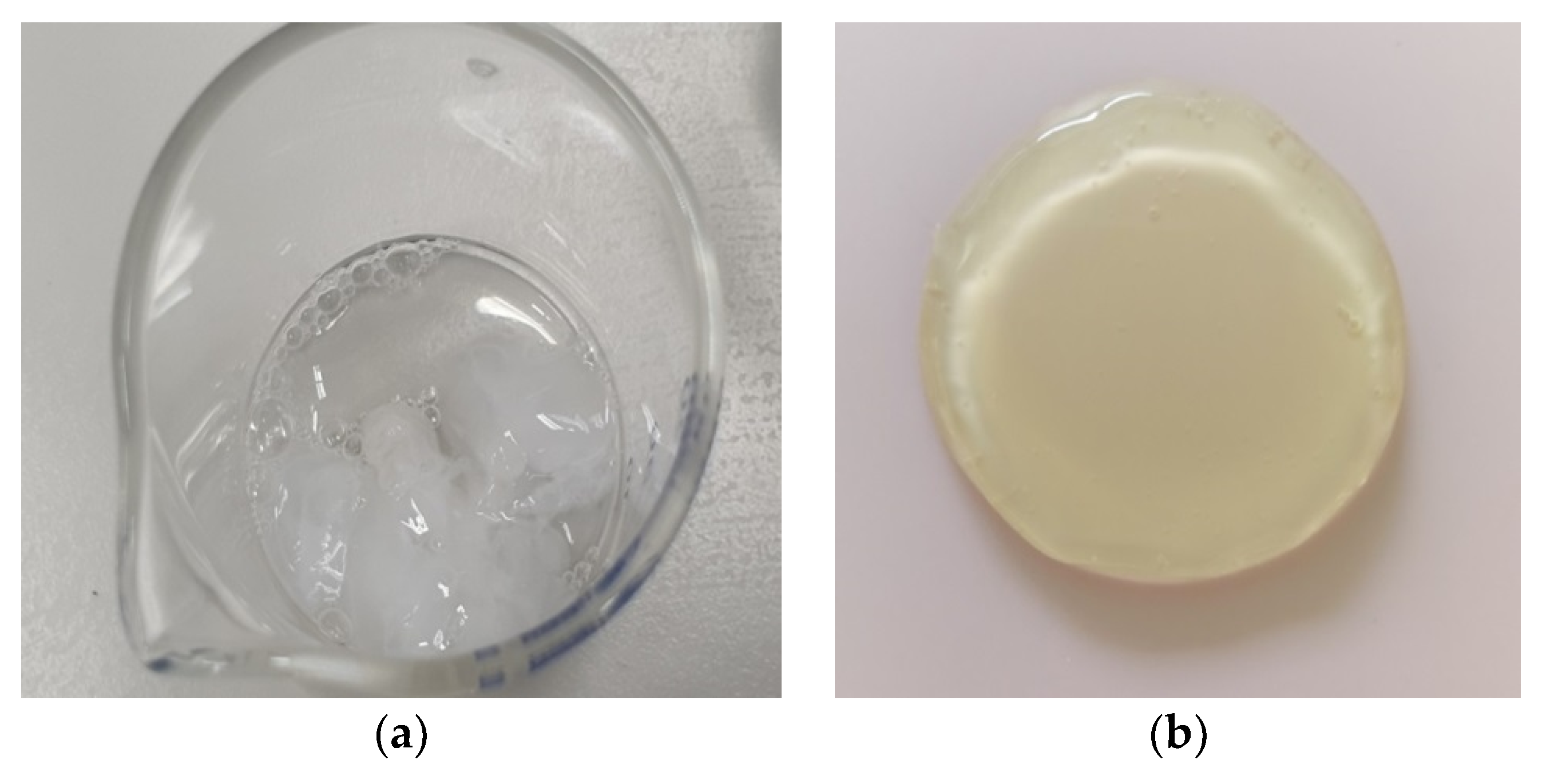 Marinedrugs 19 00502 g006