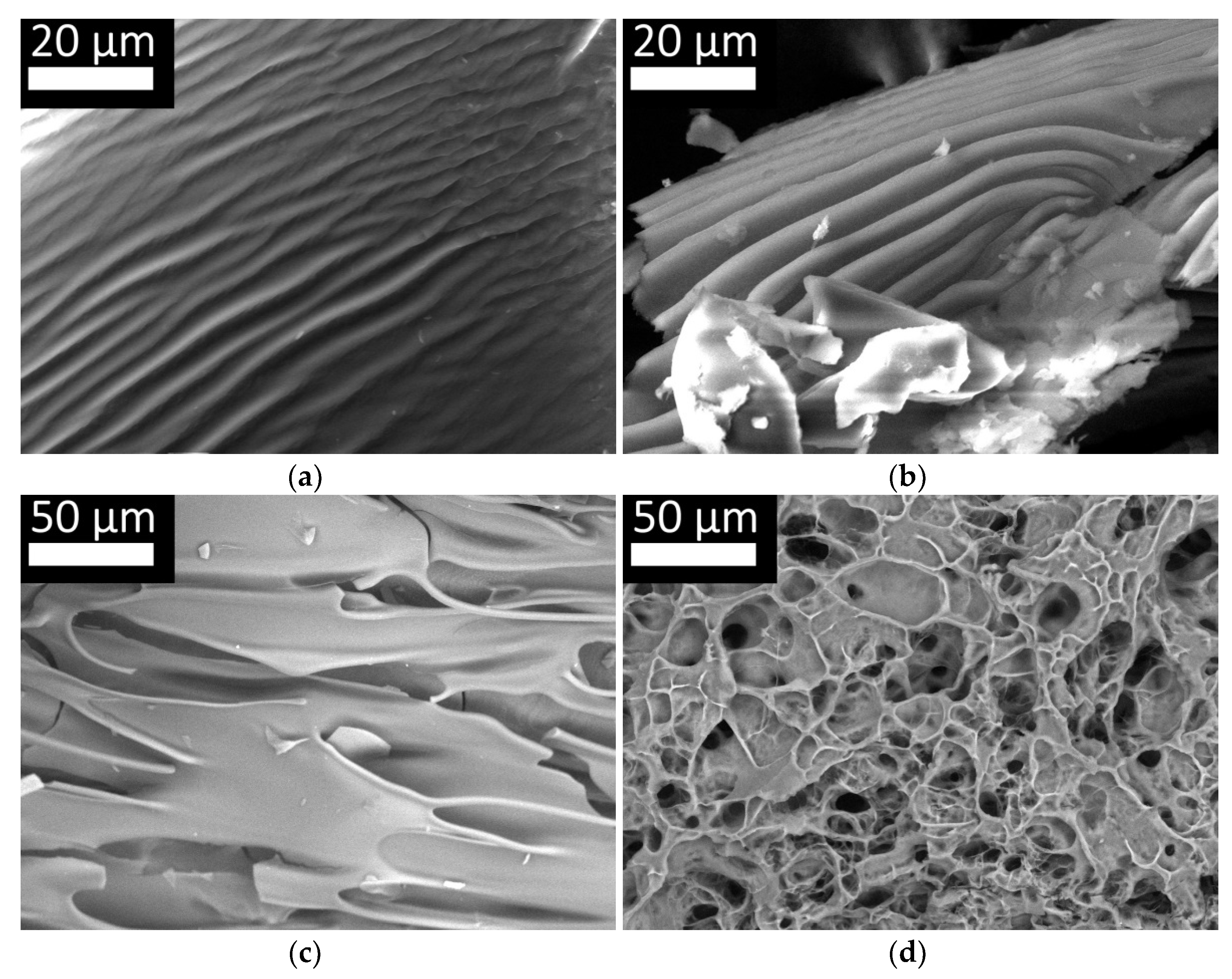 Marinedrugs 19 00502 g009