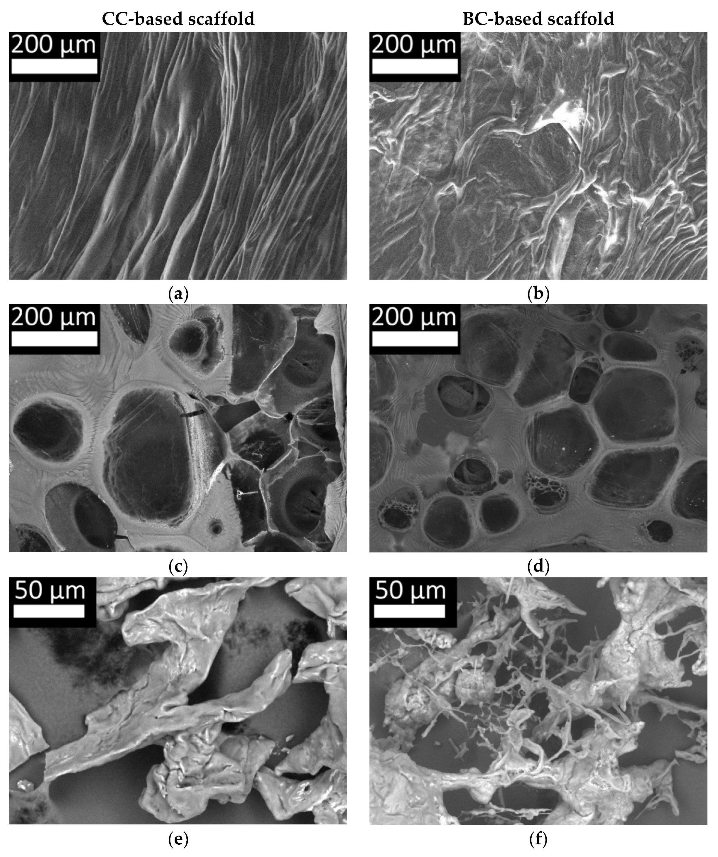 Marinedrugs 19 00502 g010