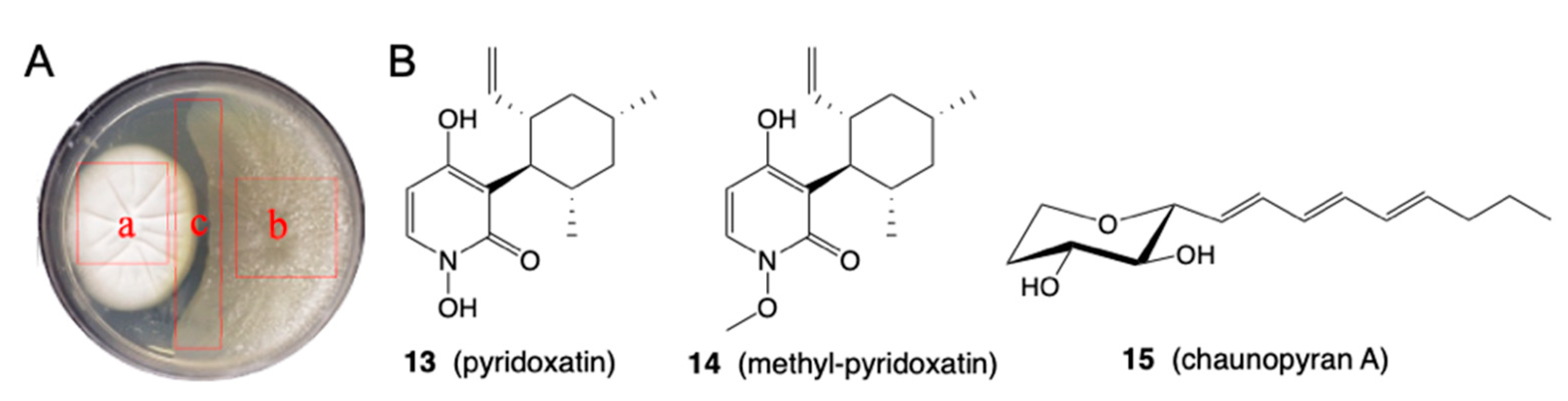 Marinedrugs 19 00503 g005 550