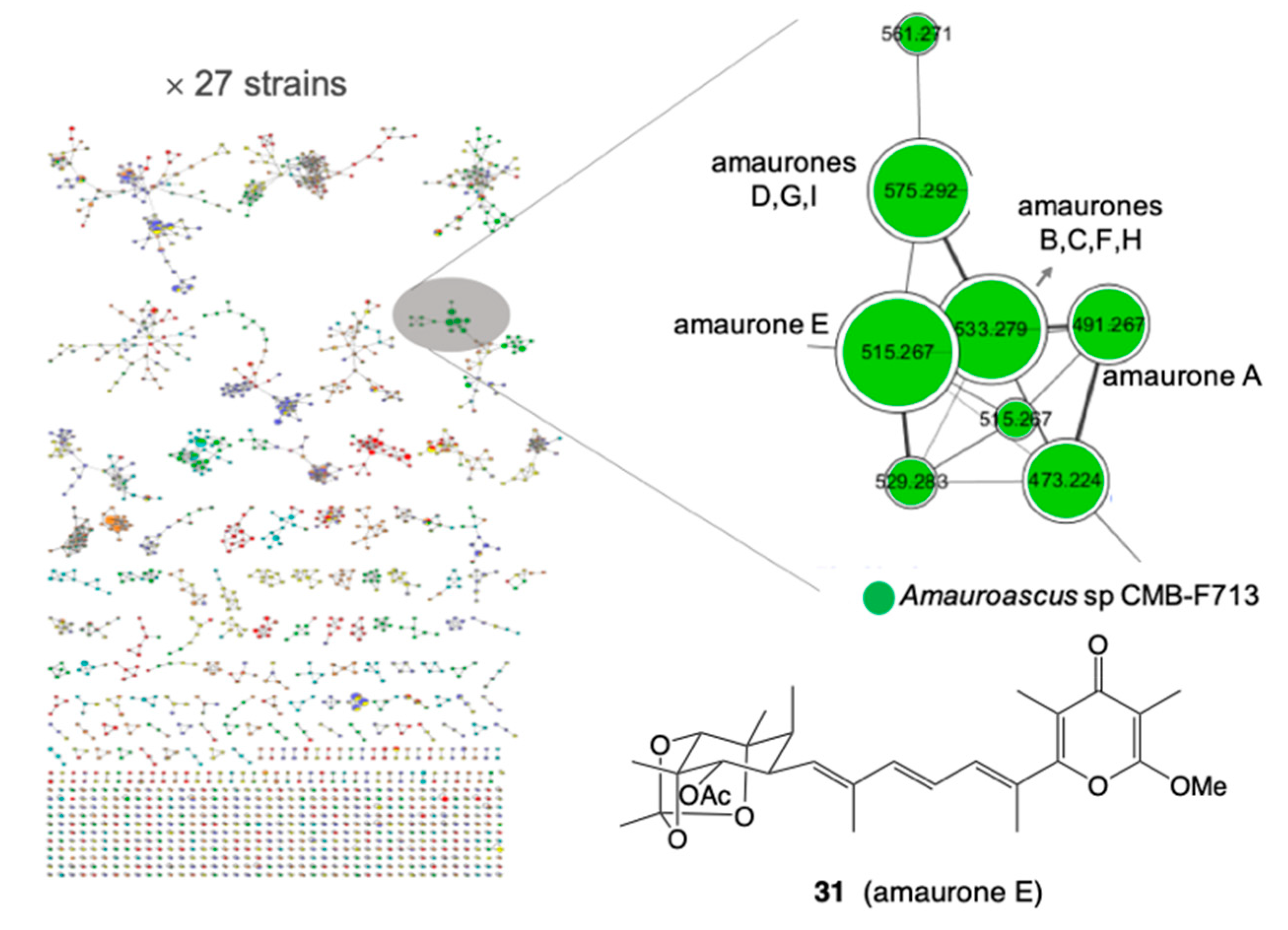 Marinedrugs 19 00503 g011 550
