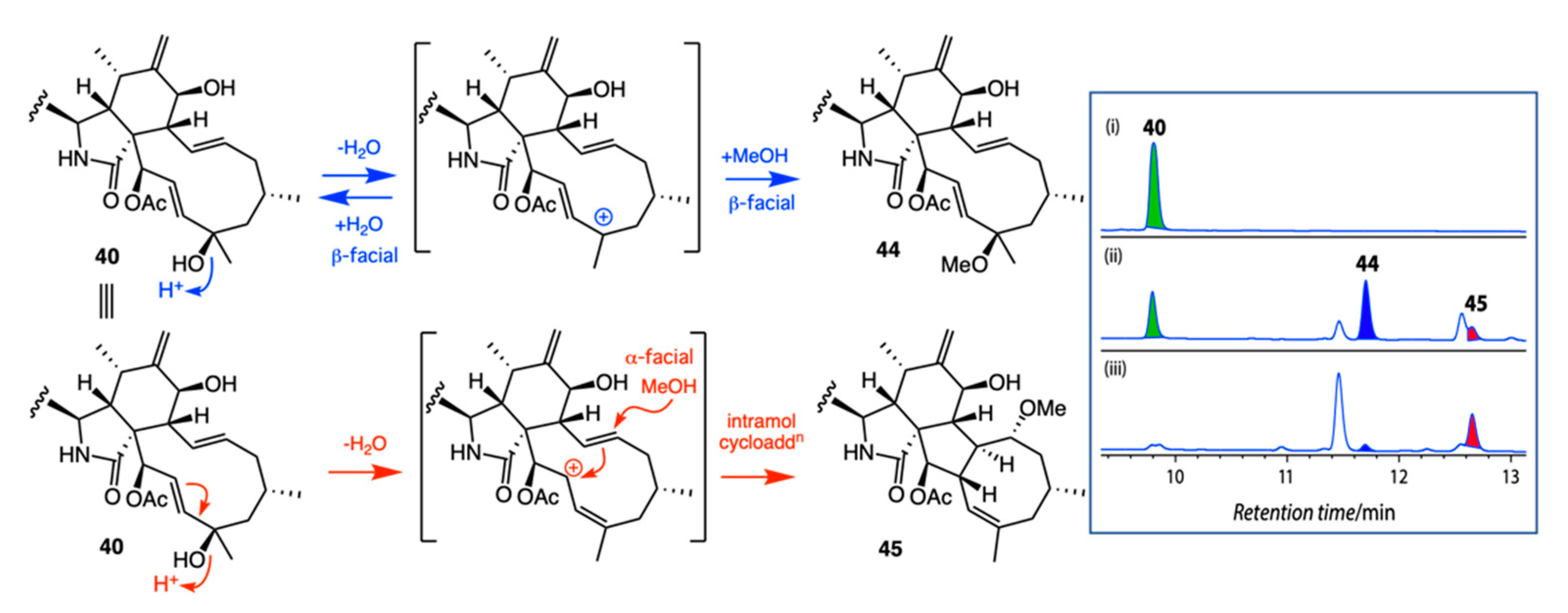 Marinedrugs 19 00503 g020 550