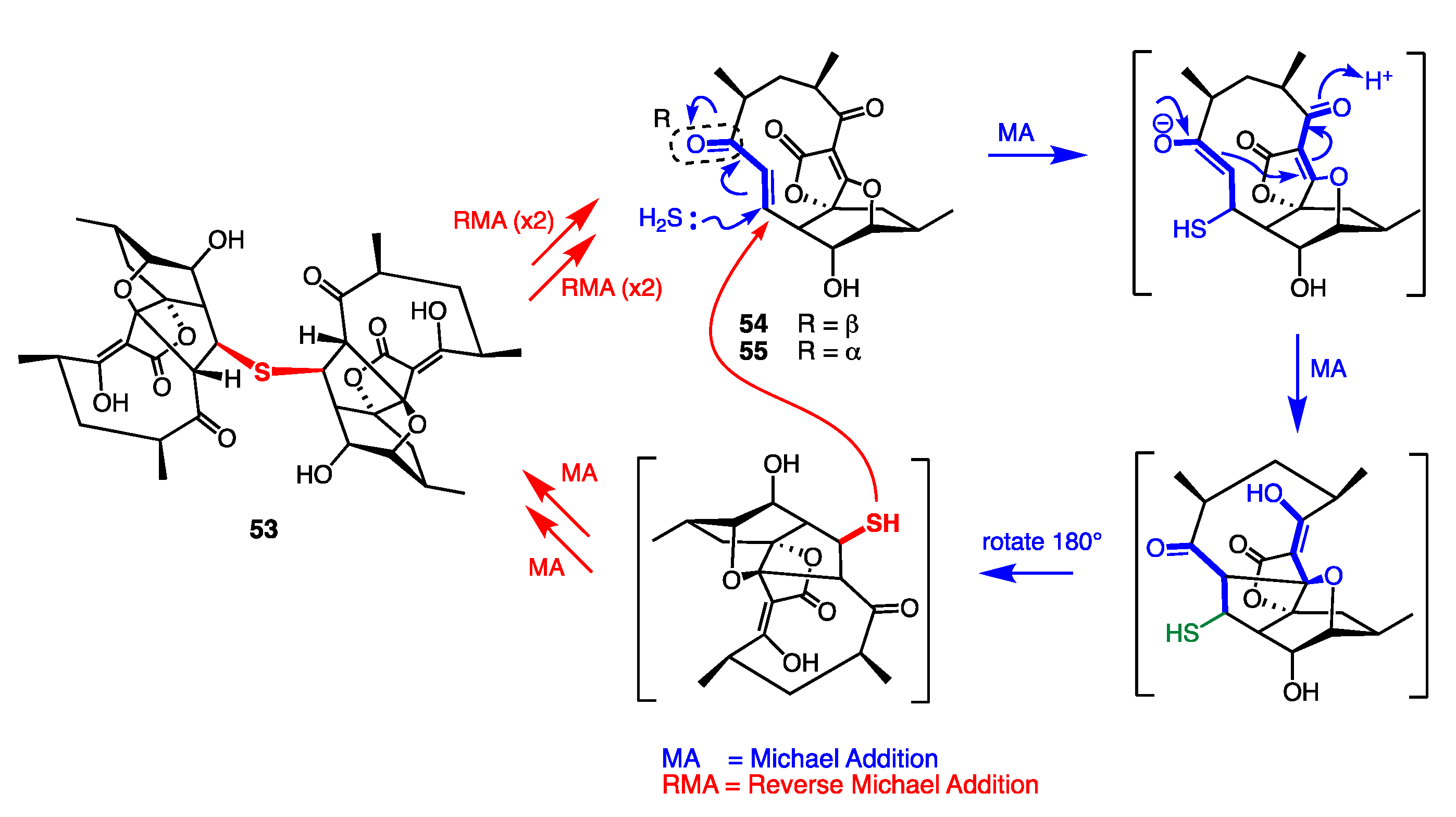 Marinedrugs 19 00503 g022 550
