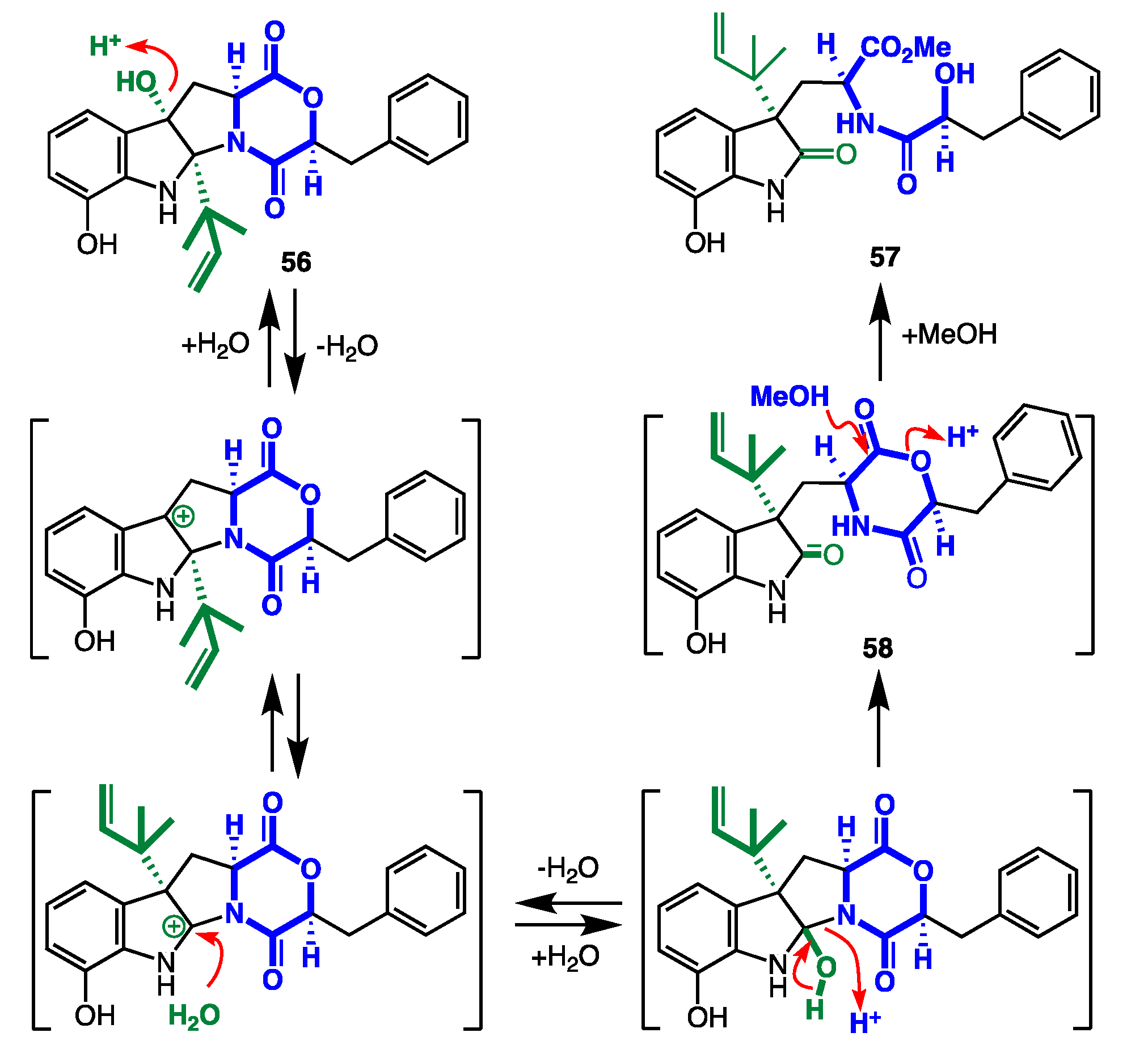 Marinedrugs 19 00503 g023 550