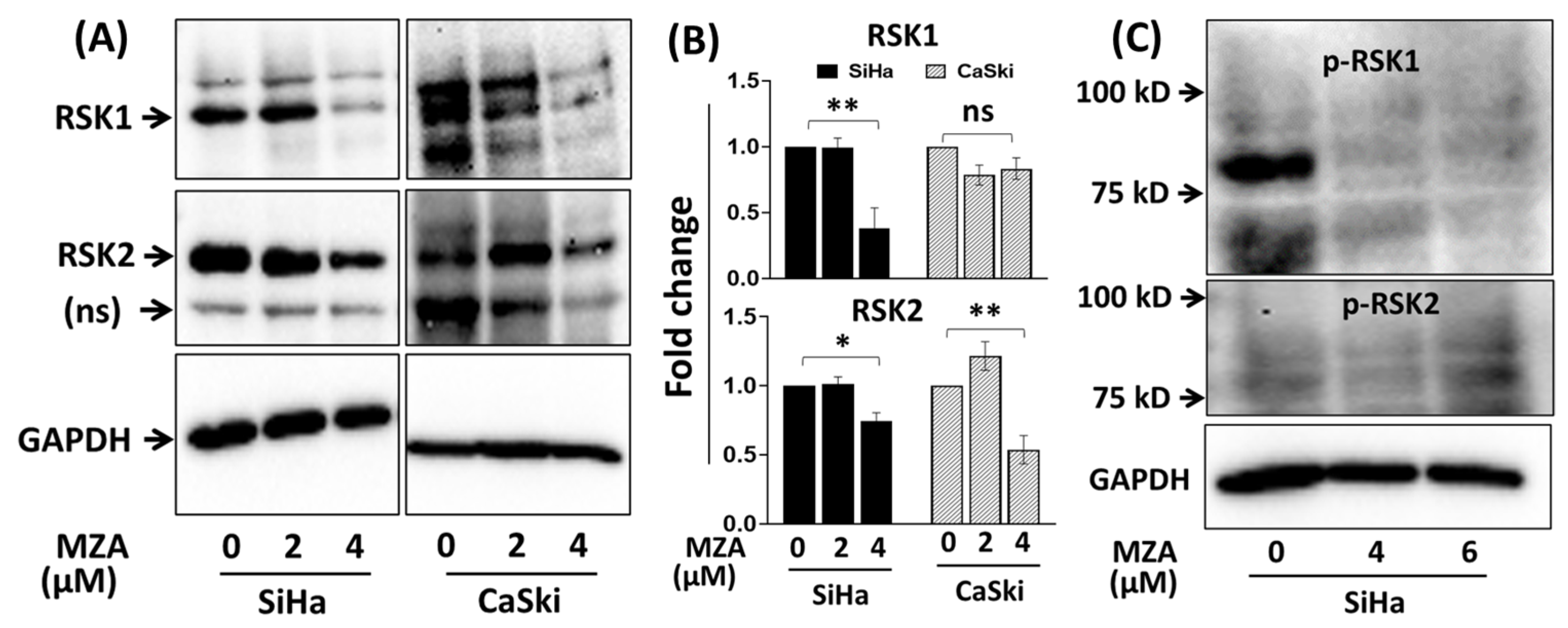 Marinedrugs 19 00506 g003 Marinedrugs 19 00506 g003