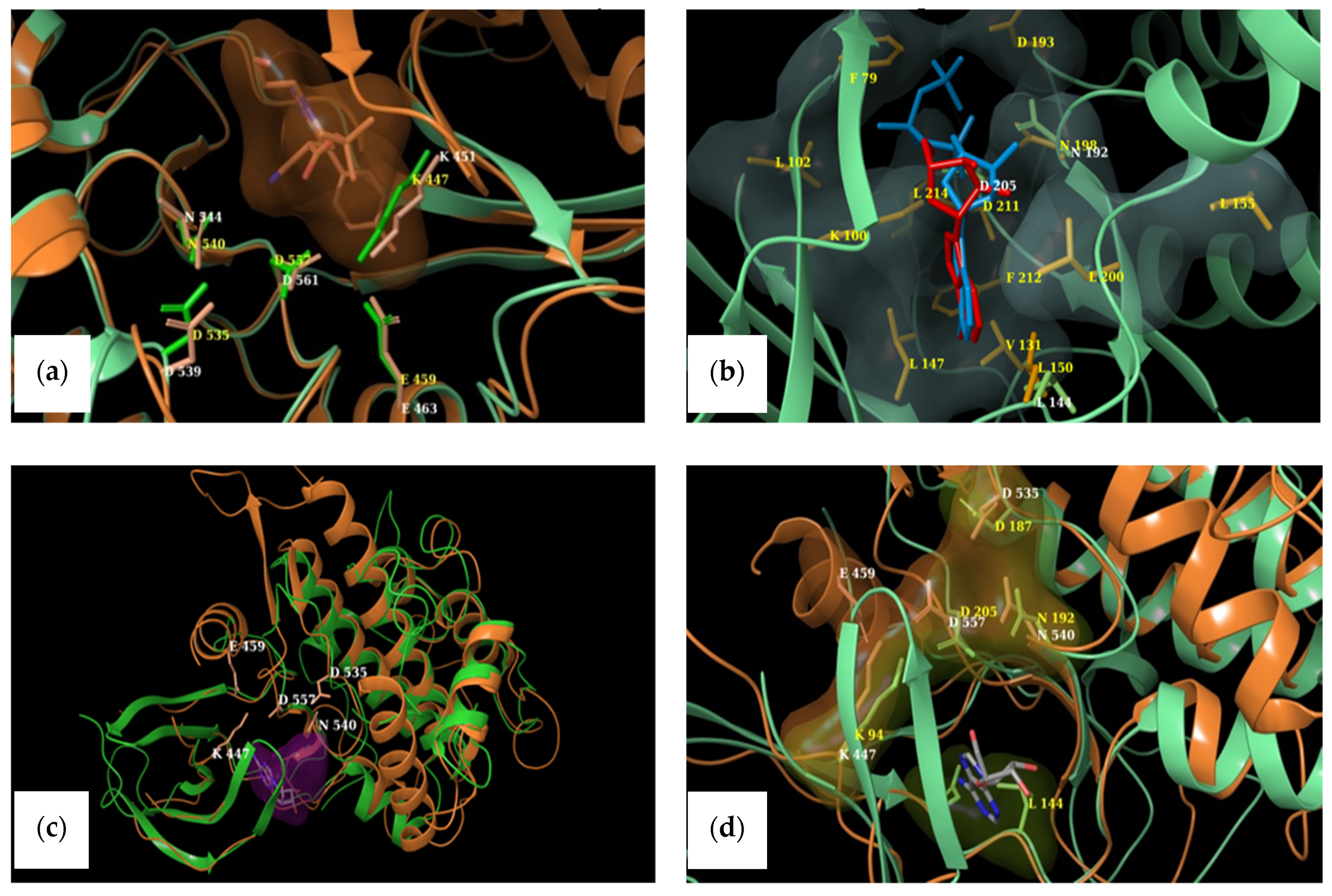 Marinedrugs 19 00506 g005 Marinedrugs 19 00506 g005