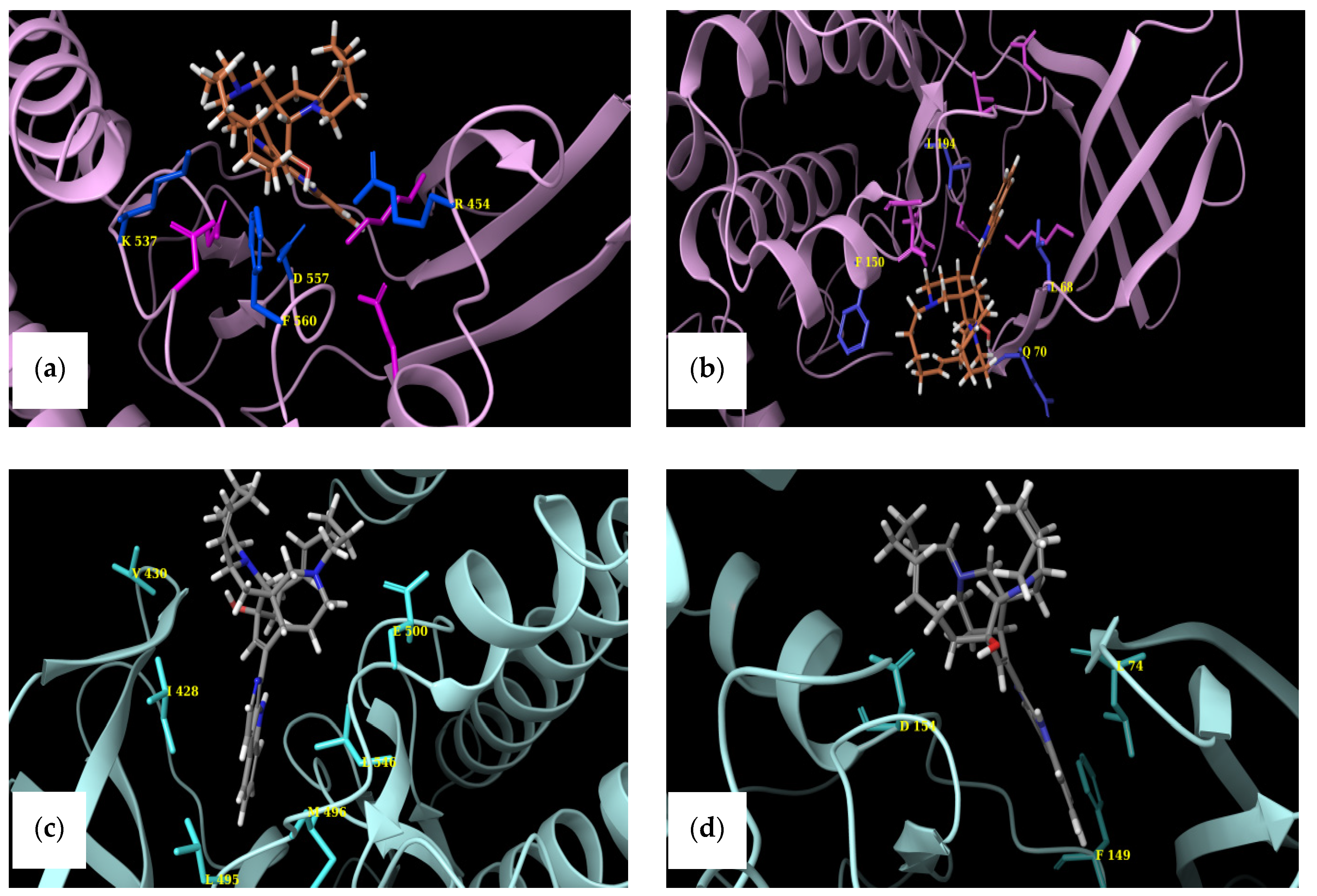 Marinedrugs 19 00506 g007 Marinedrugs 19 00506 g007