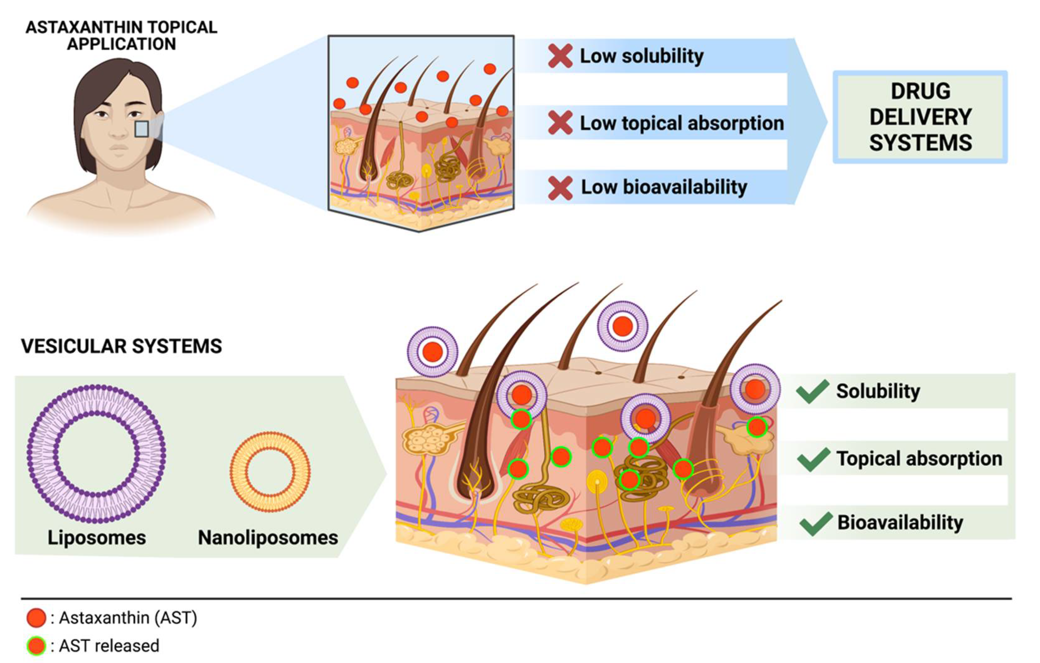 Astaxanthin for Skin  
