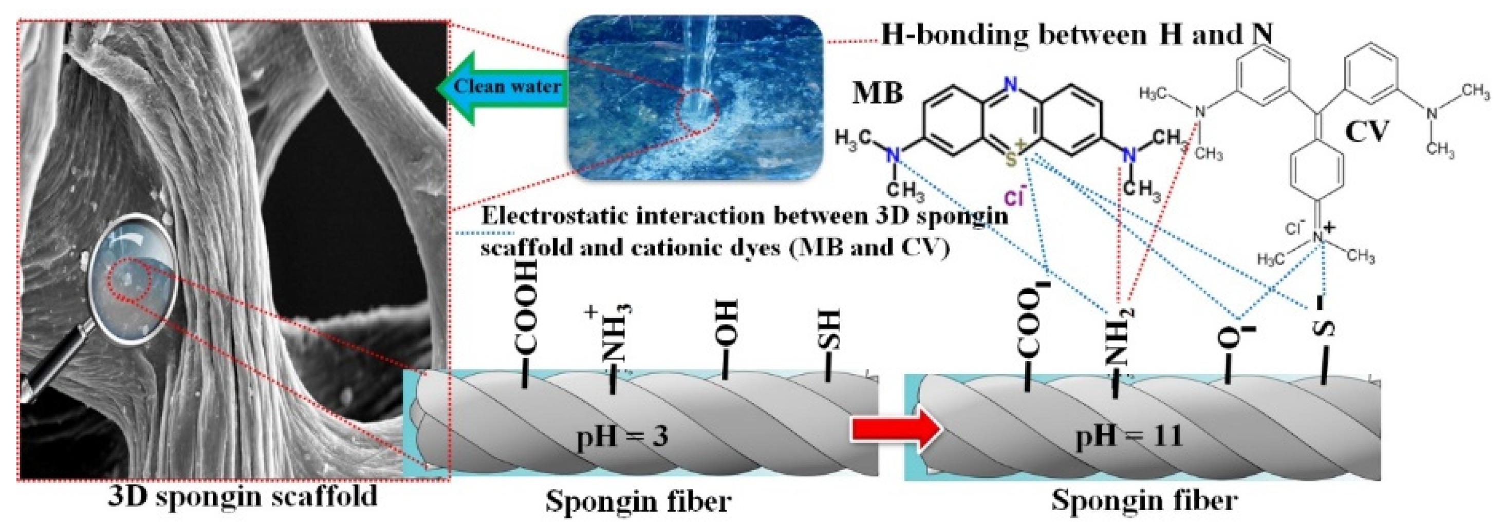 Marinedrugs 19 00512 sch001