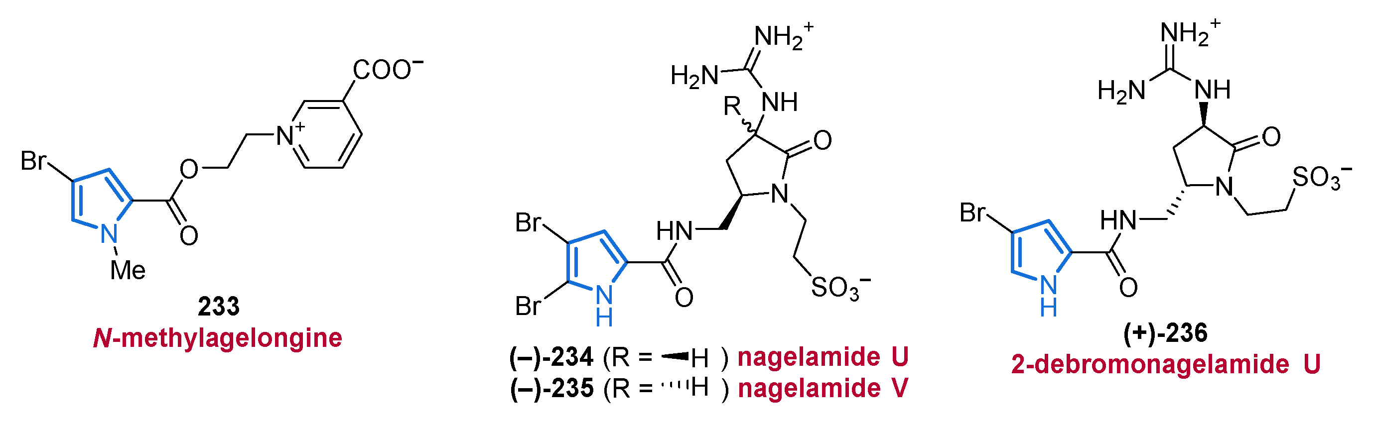 Marinedrugs 19 00514 g029 Marinedrugs 19 00514 g029