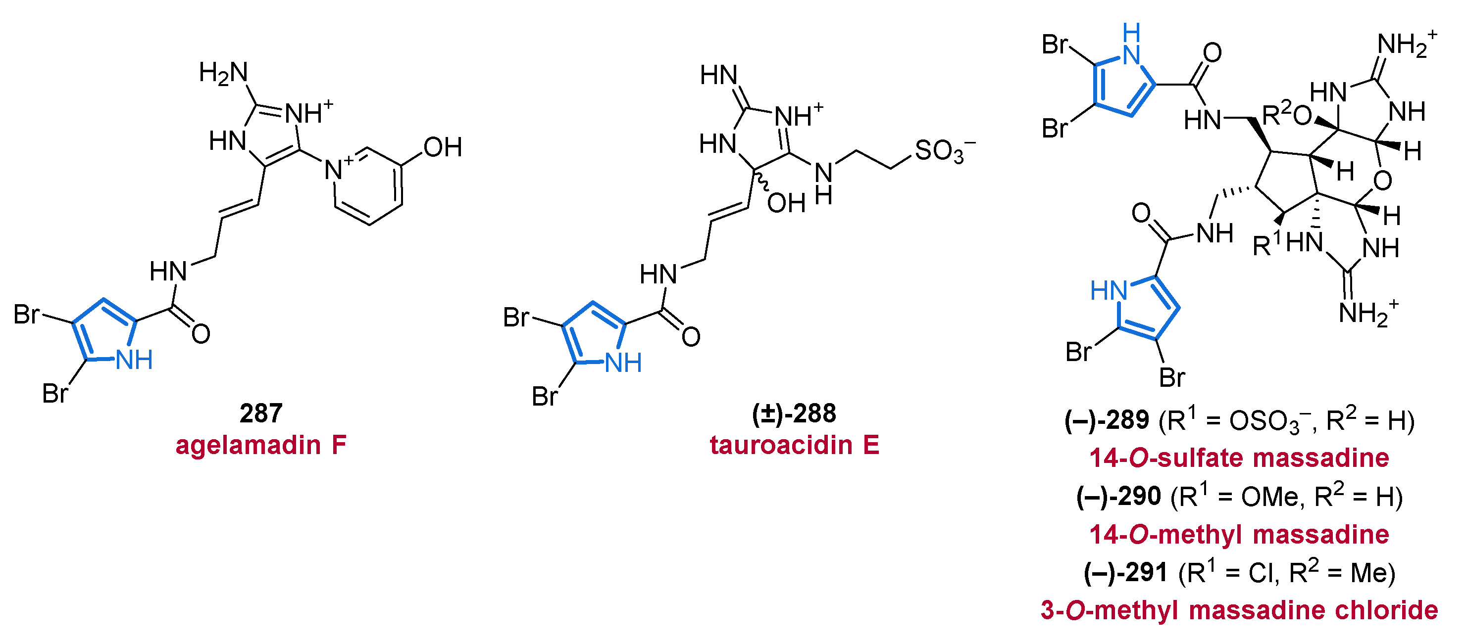 Marinedrugs 19 00514 g039 Marinedrugs 19 00514 g039