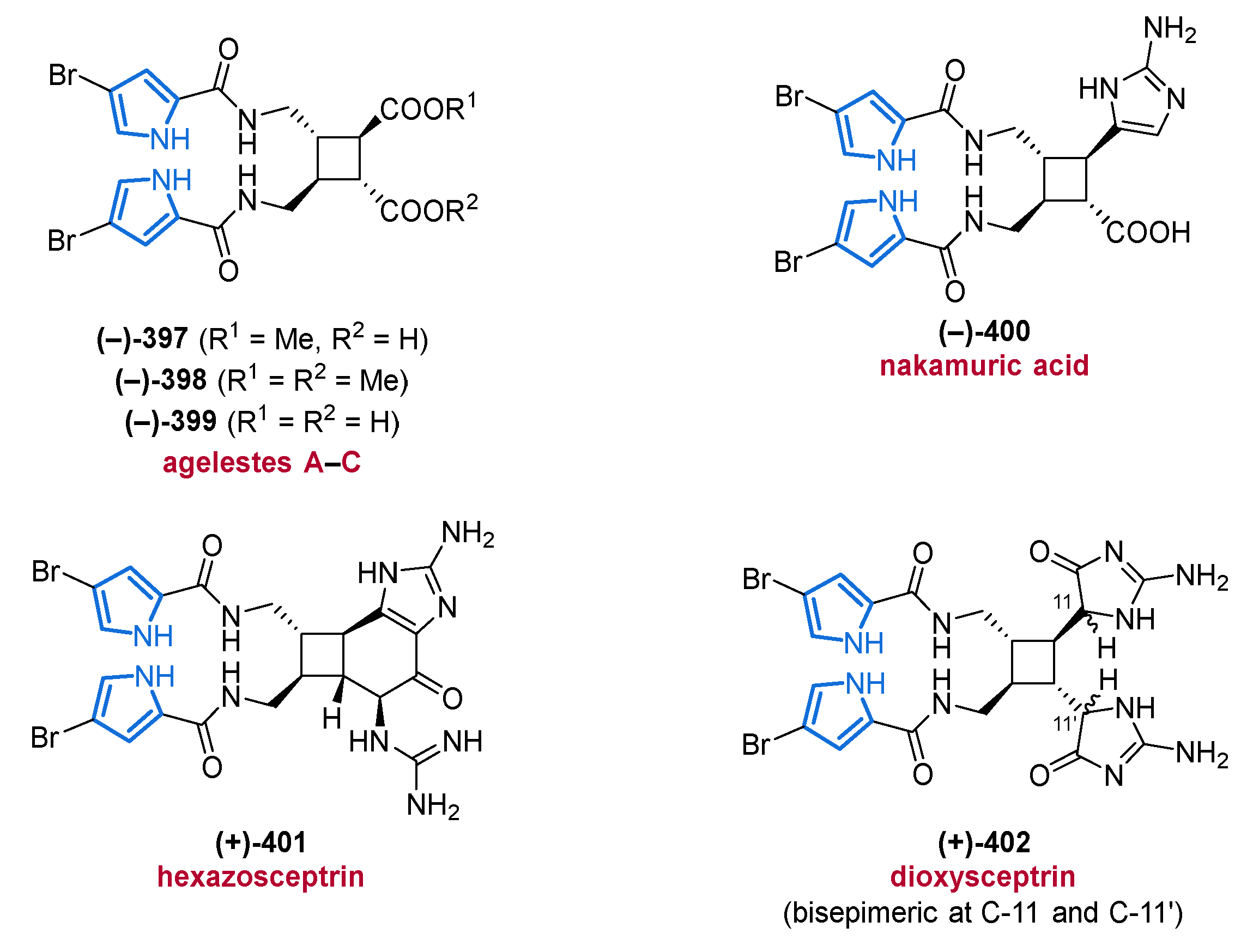 Marinedrugs 19 00514 g056 Marinedrugs 19 00514 g056