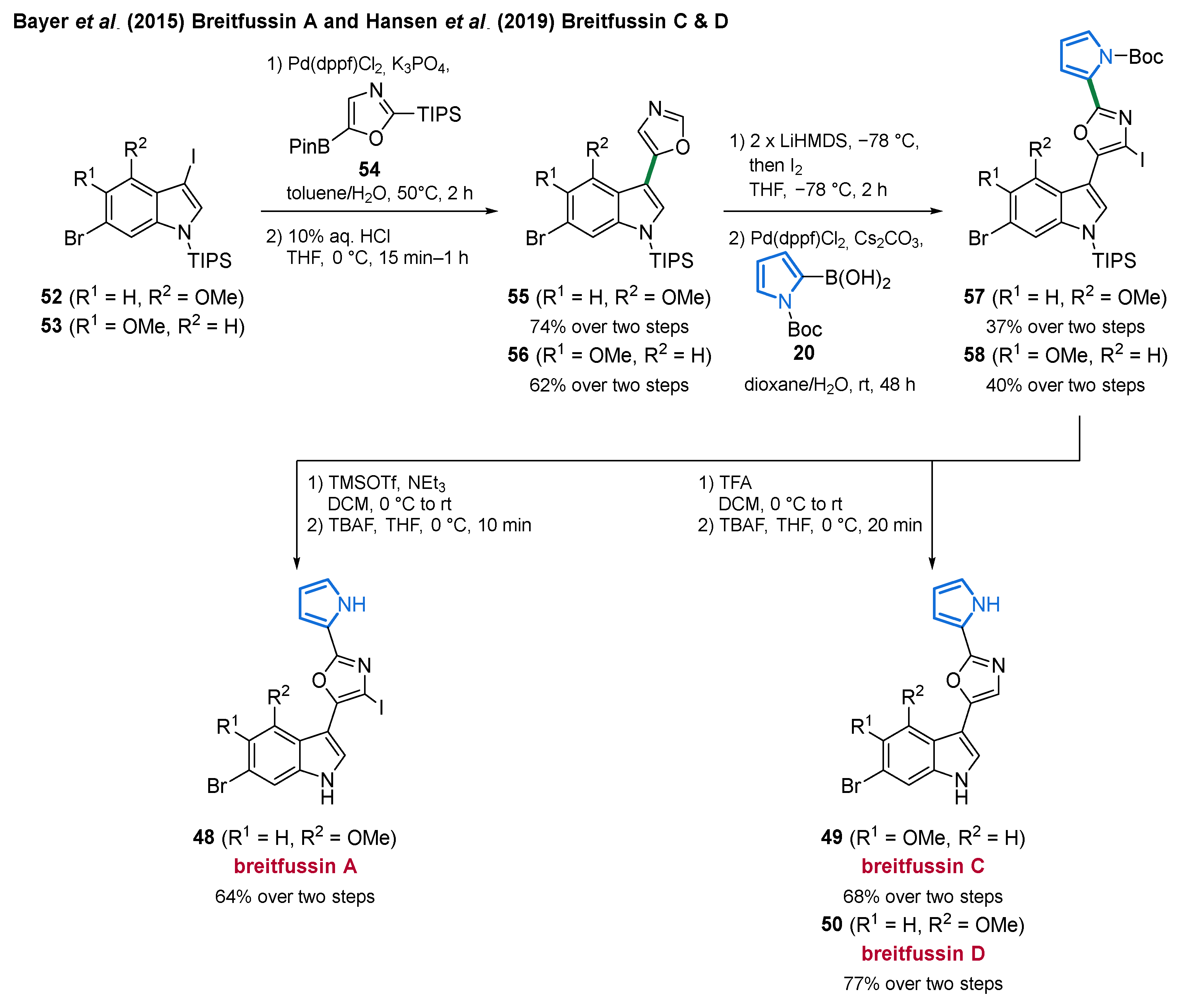 Marinedrugs 19 00514 sch004 Marinedrugs 19 00514 sch004
