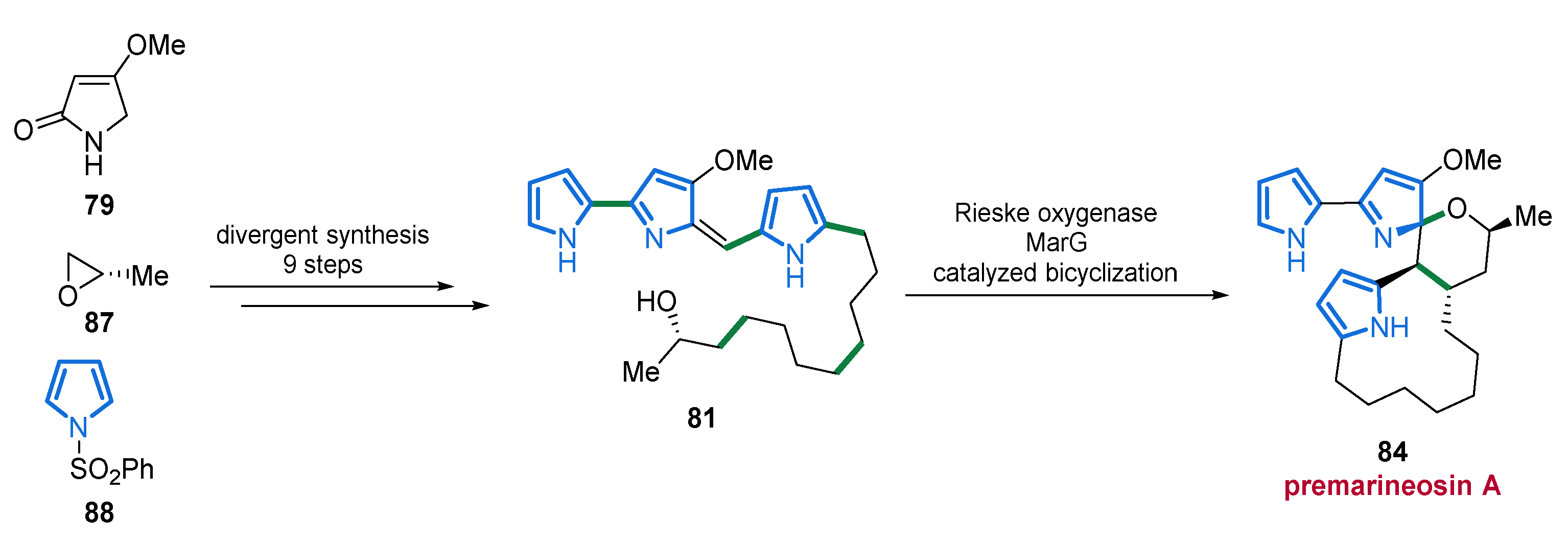 Marinedrugs 19 00514 sch007 Marinedrugs 19 00514 sch007